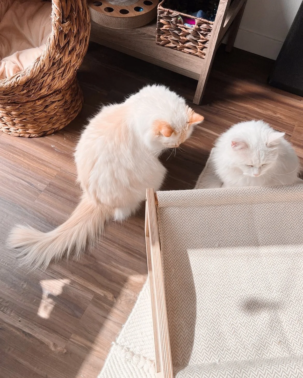 2023-09-14 23-11-21.jpg