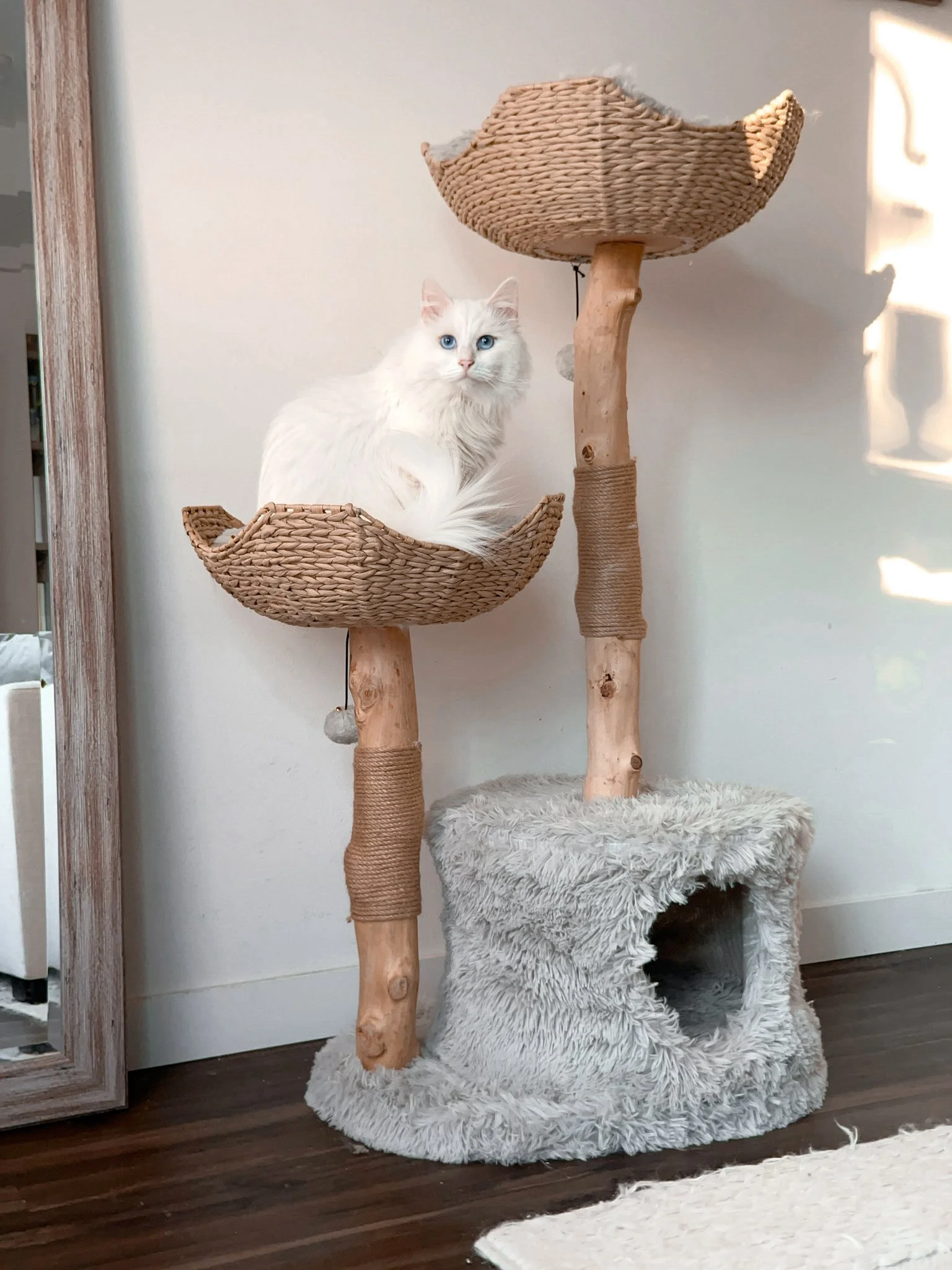 2023-11-27 15-35-54.jpeg