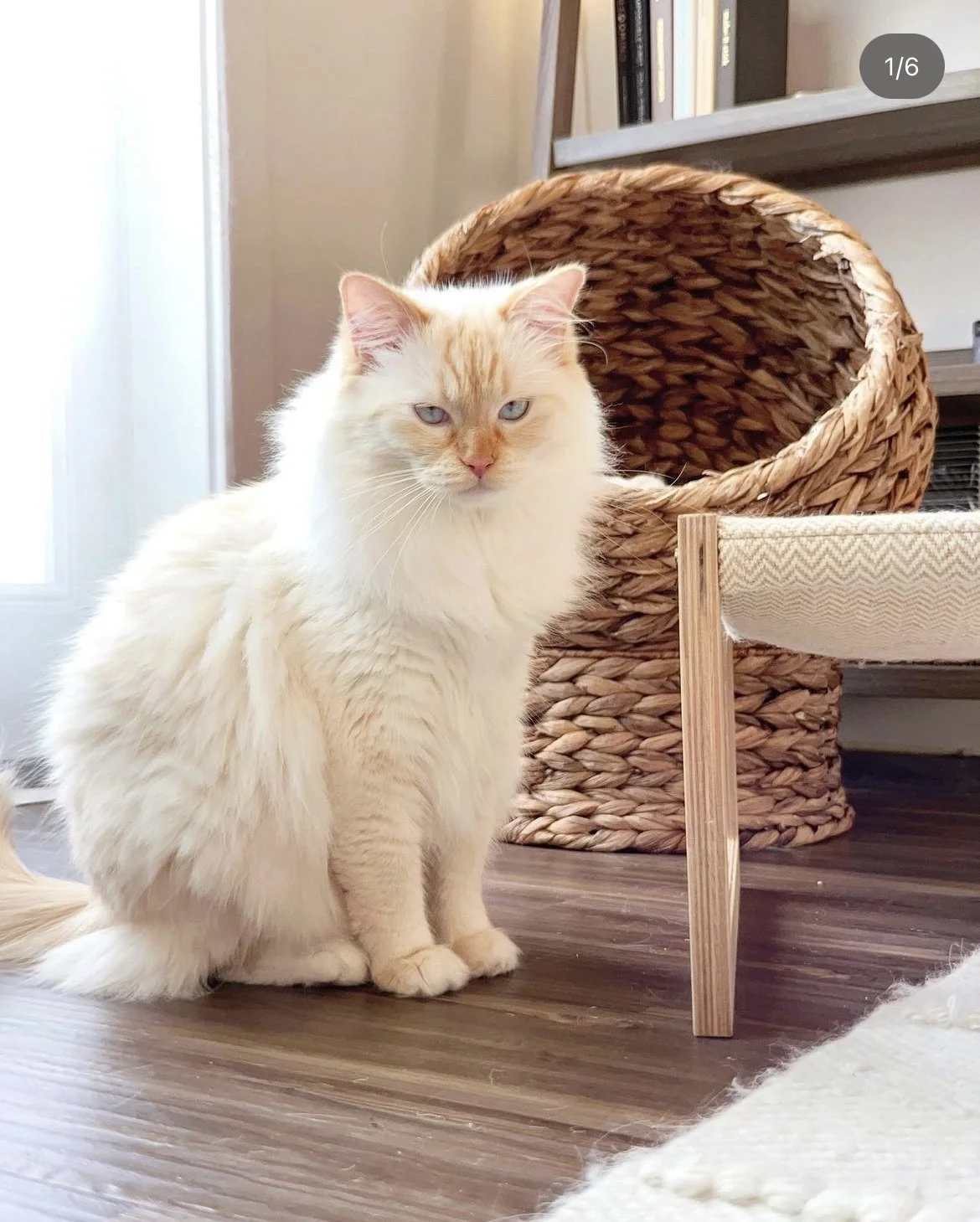 2023-09-14 23-11-26.jpeg