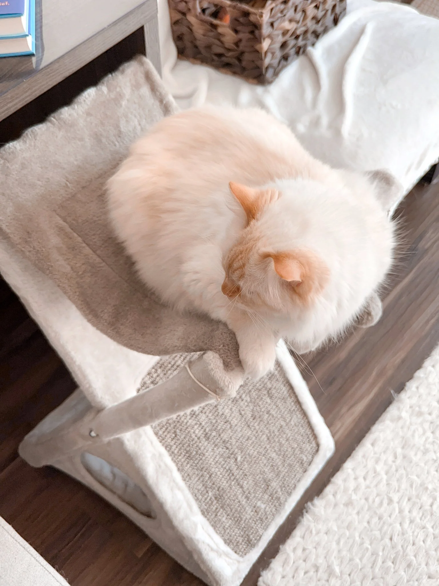 2023-09-22 15-33-45.jpeg