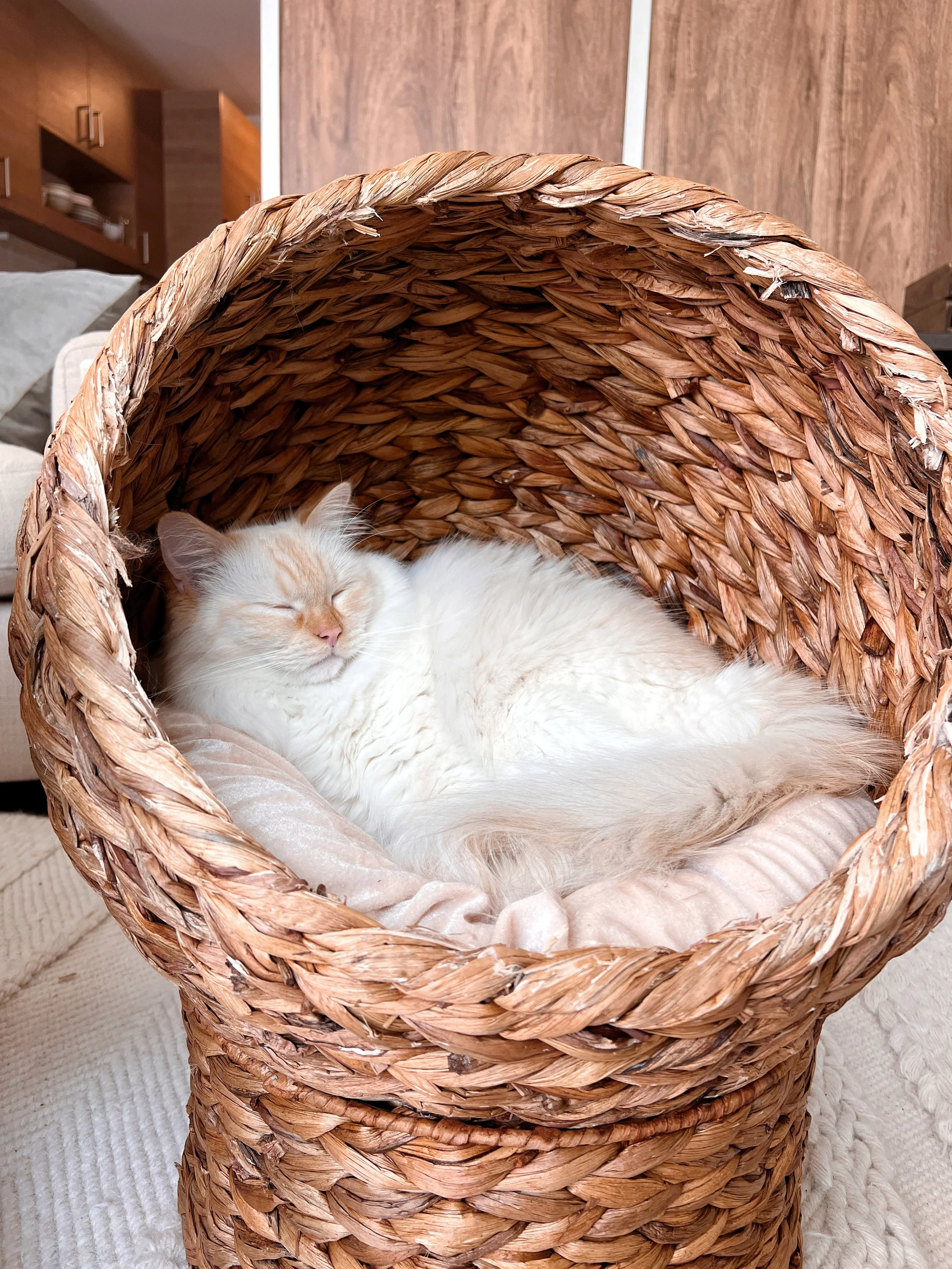 2023-09-13 14-41-21.jpeg