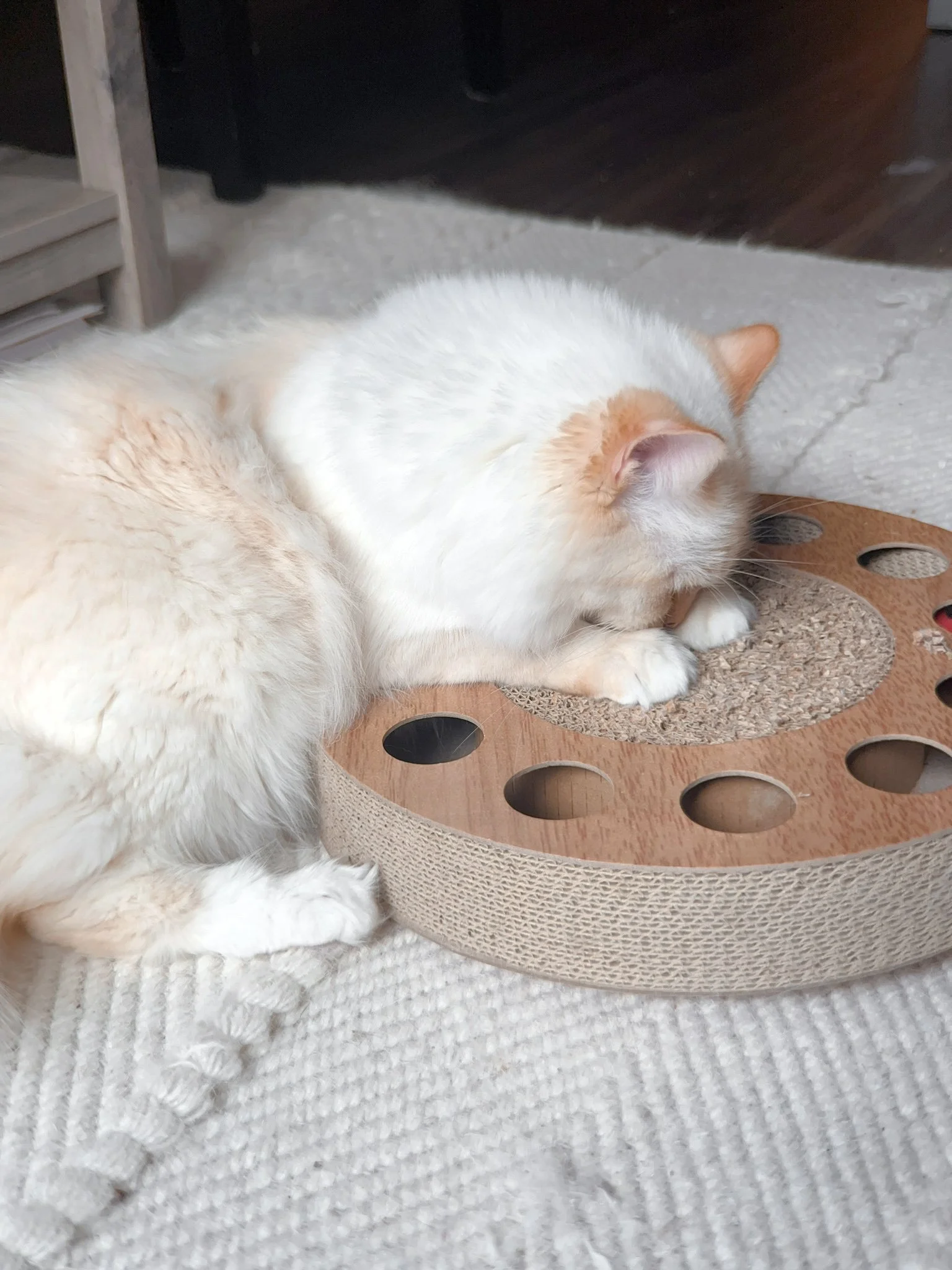 2023-10-19 15-55-47.jpeg