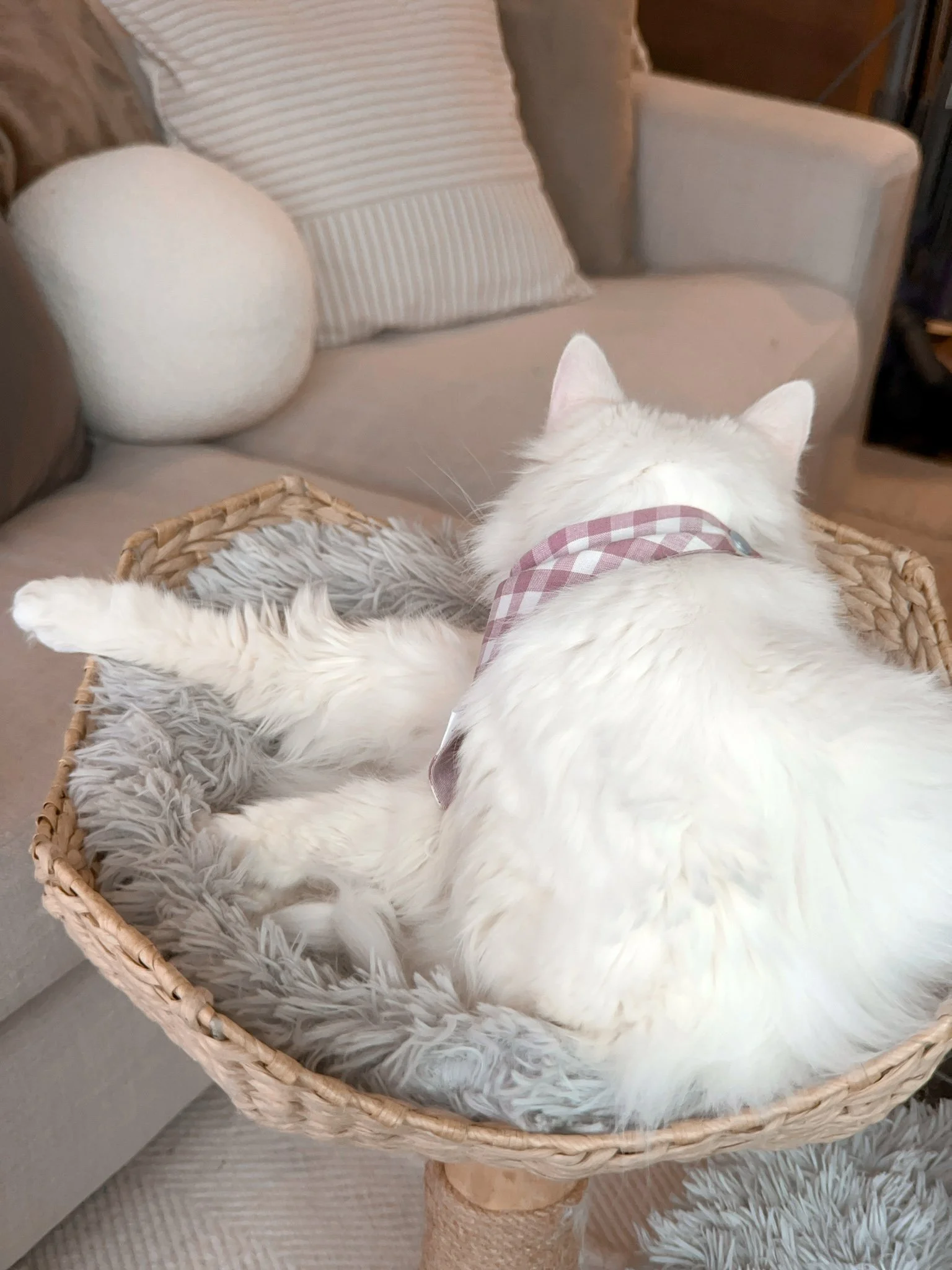 2024-02-21 16-19-31.jpeg