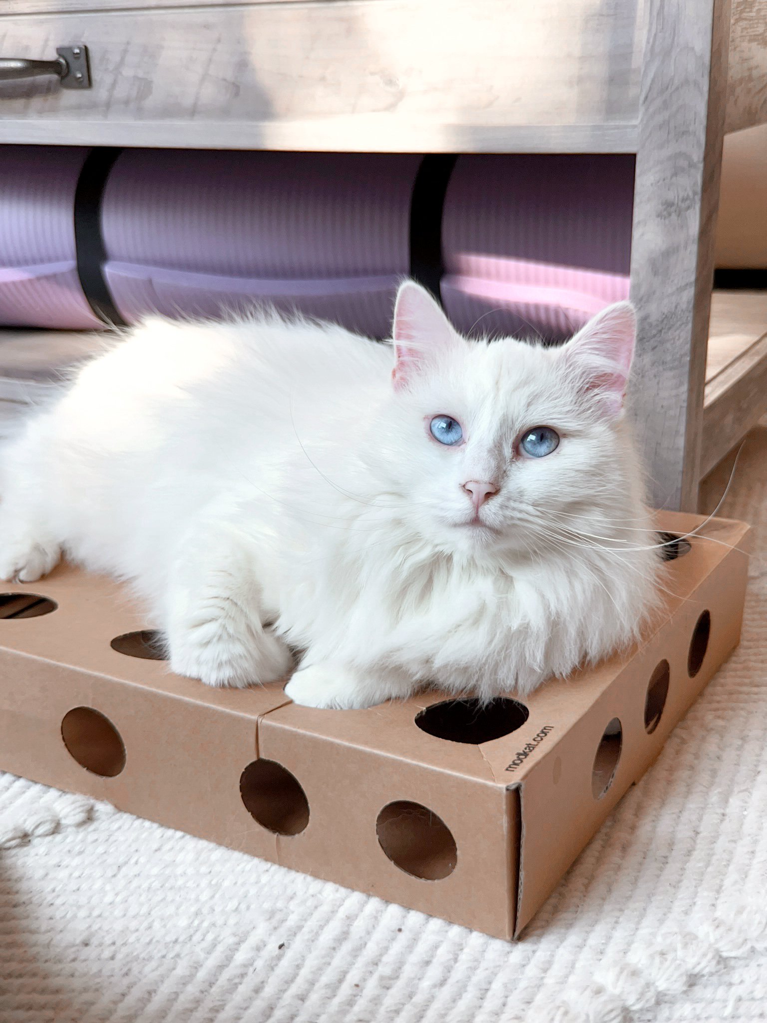 2023-10-10 13-47-58.jpeg