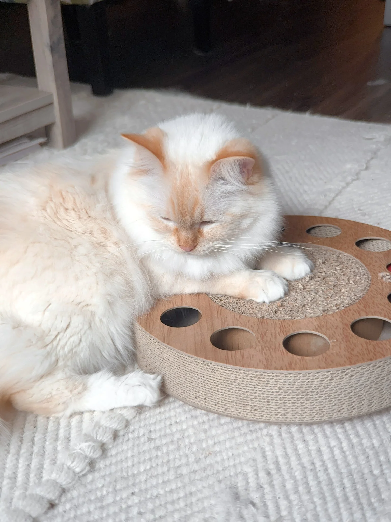 2023-10-19 15-55-50.jpeg