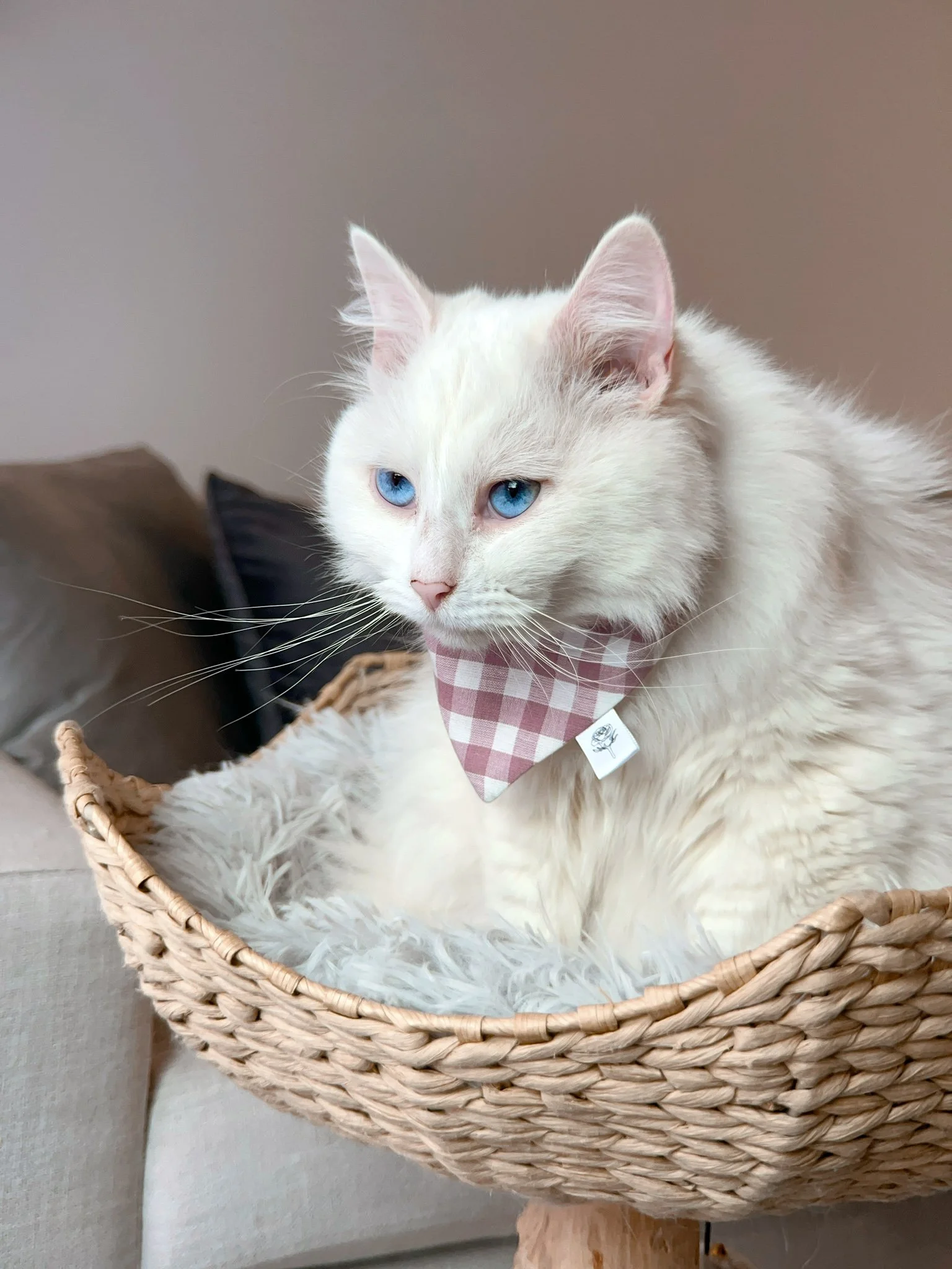 2024-02-21 16-17-43.jpeg