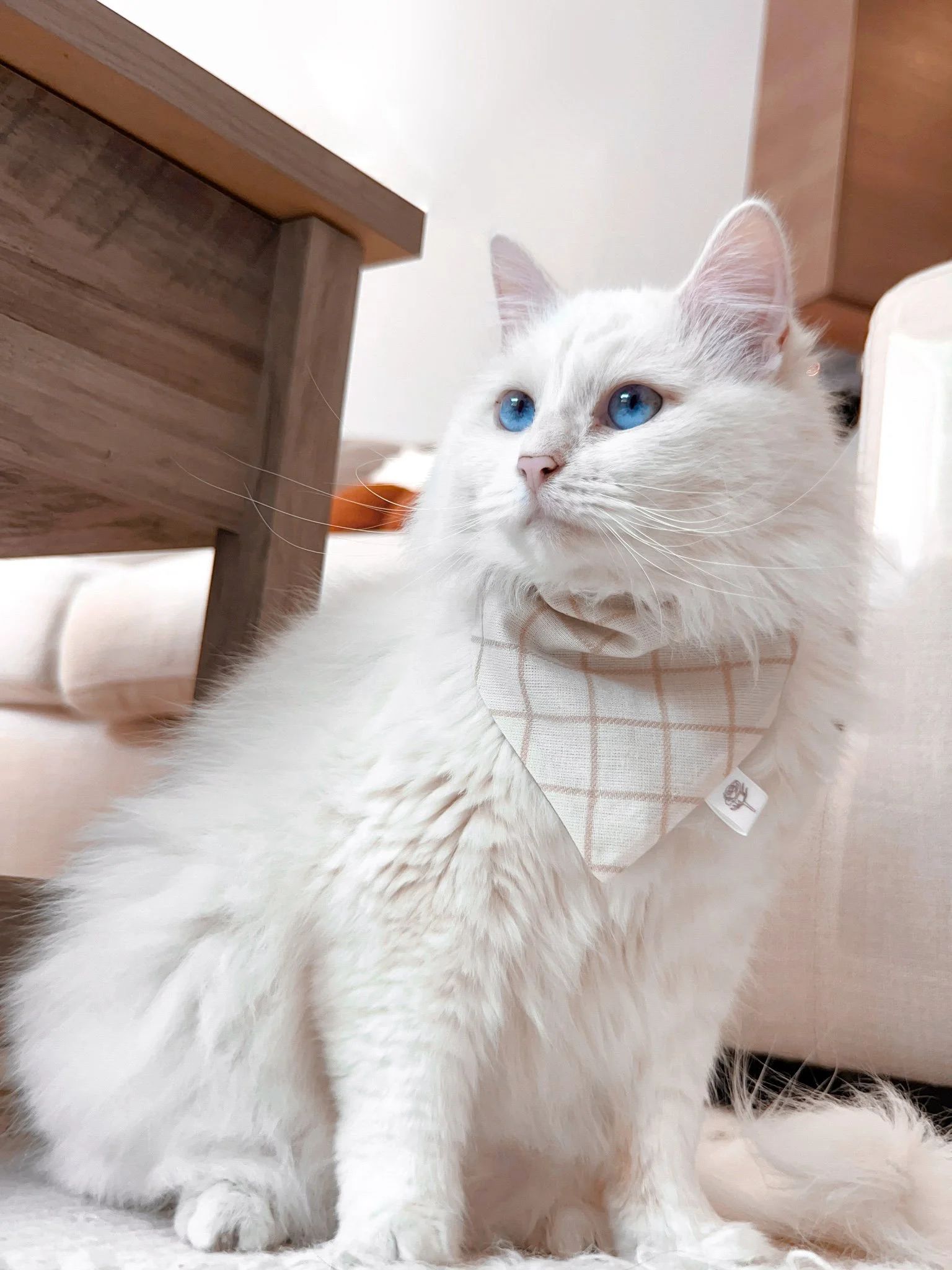 2023-09-22 15-26-15.jpeg