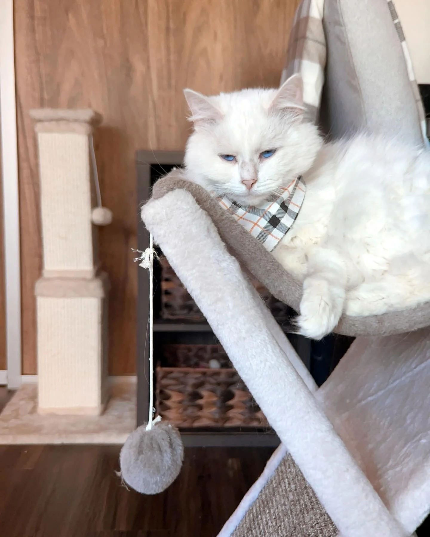 2023-11-17 23-07-43.jpeg