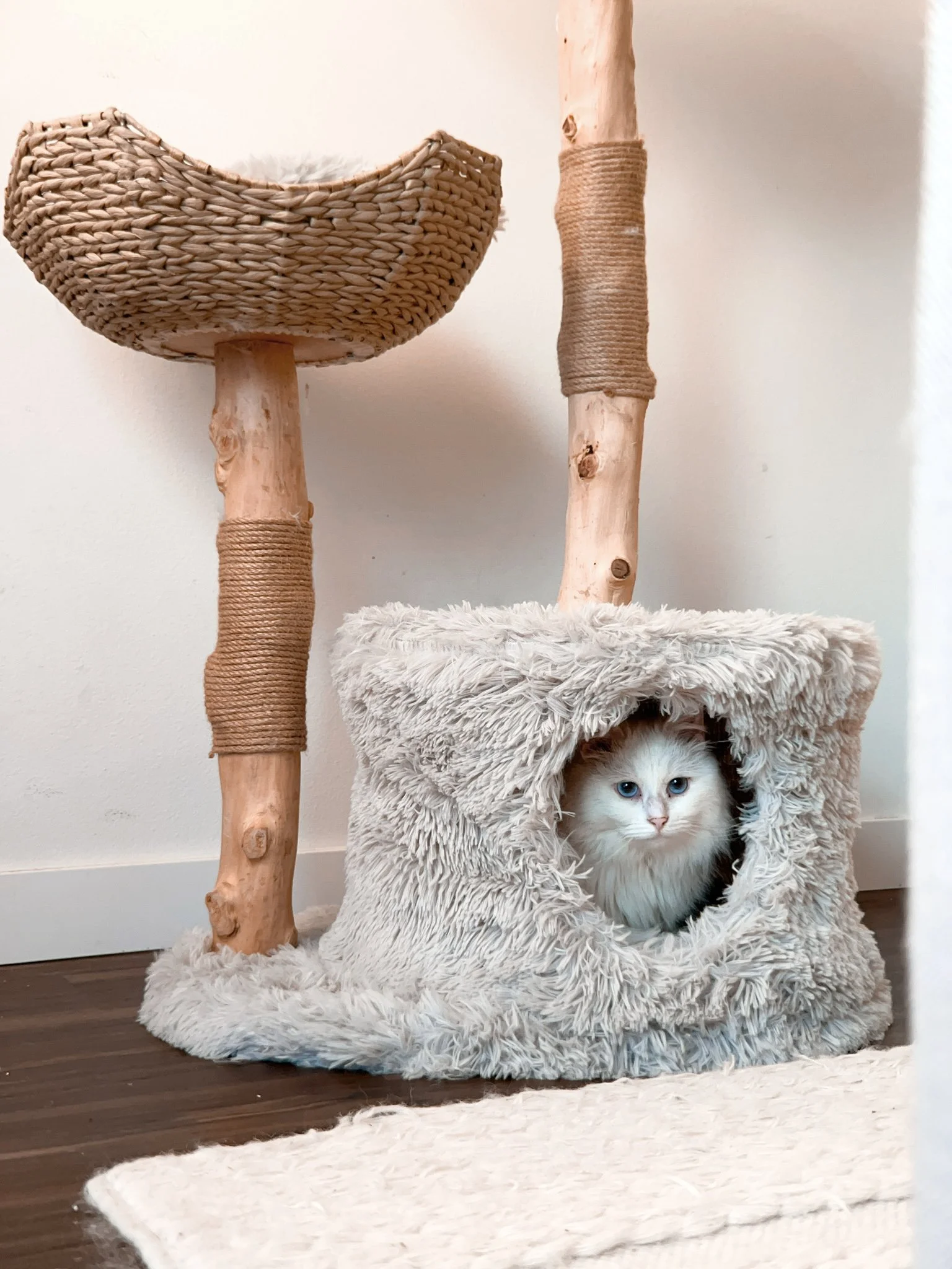 2023-11-27 15-49-55 (2).jpeg