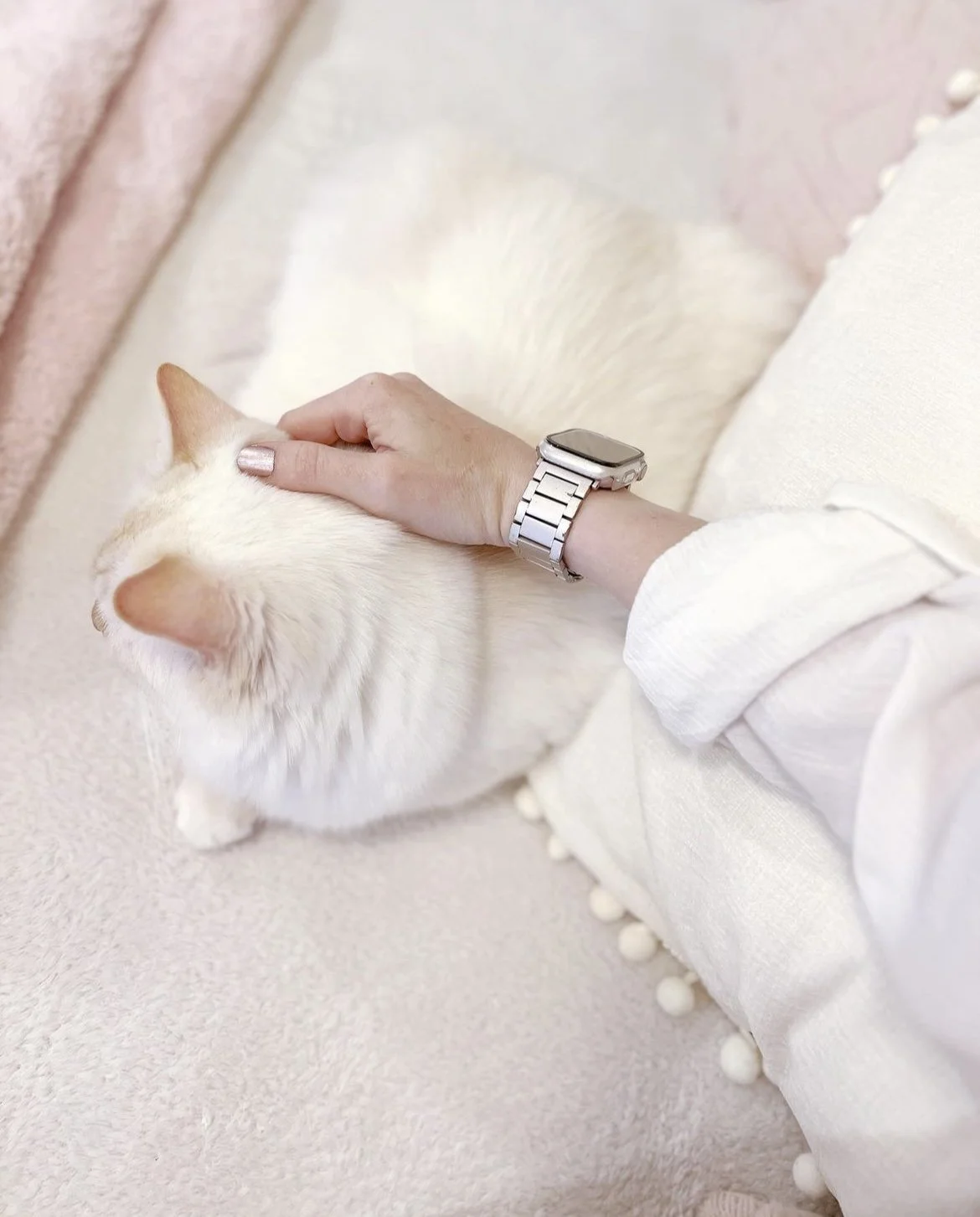 2023-09-14 23-06-22.jpeg