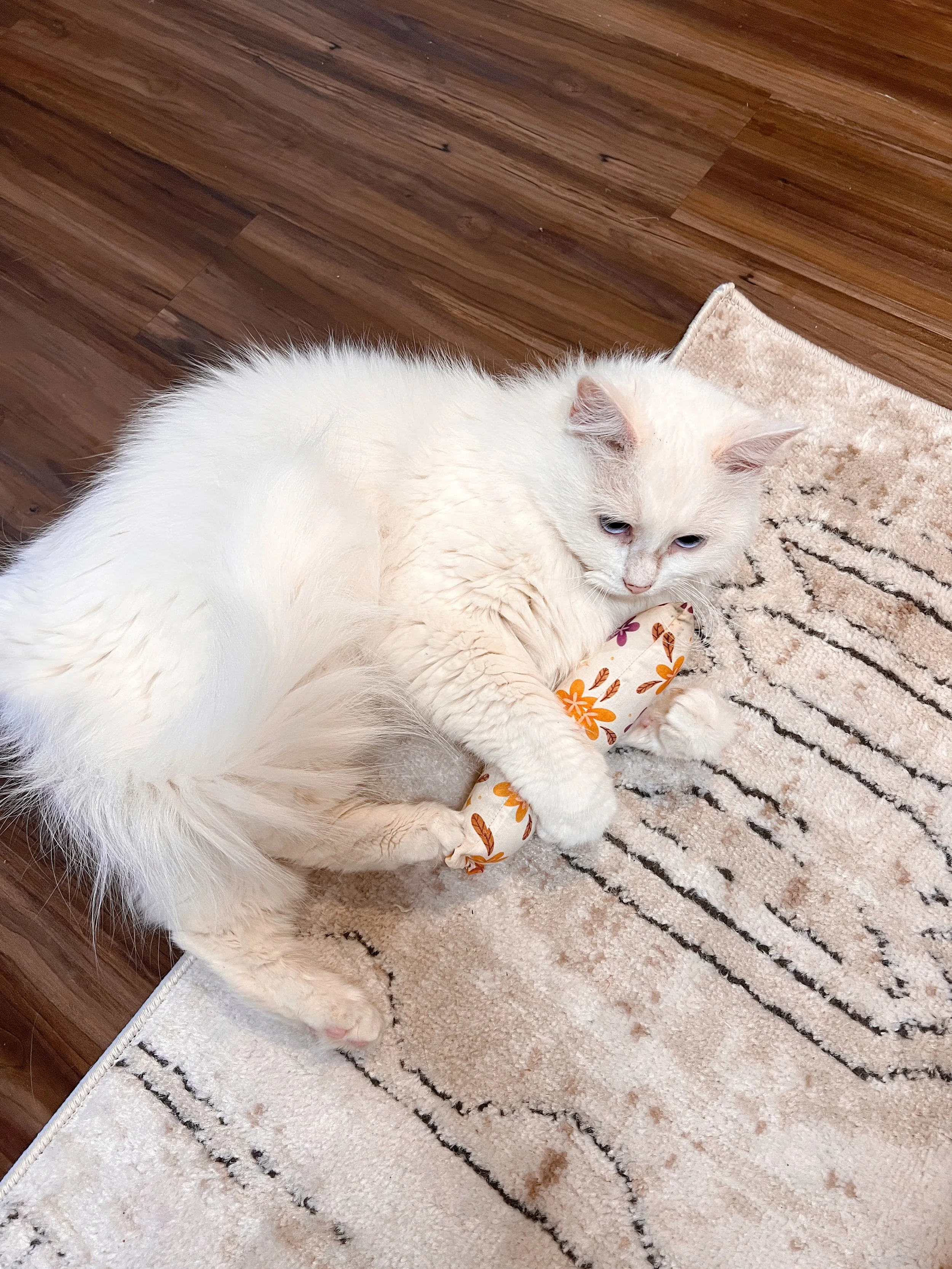 2023-10-05 09-12-03.jpeg