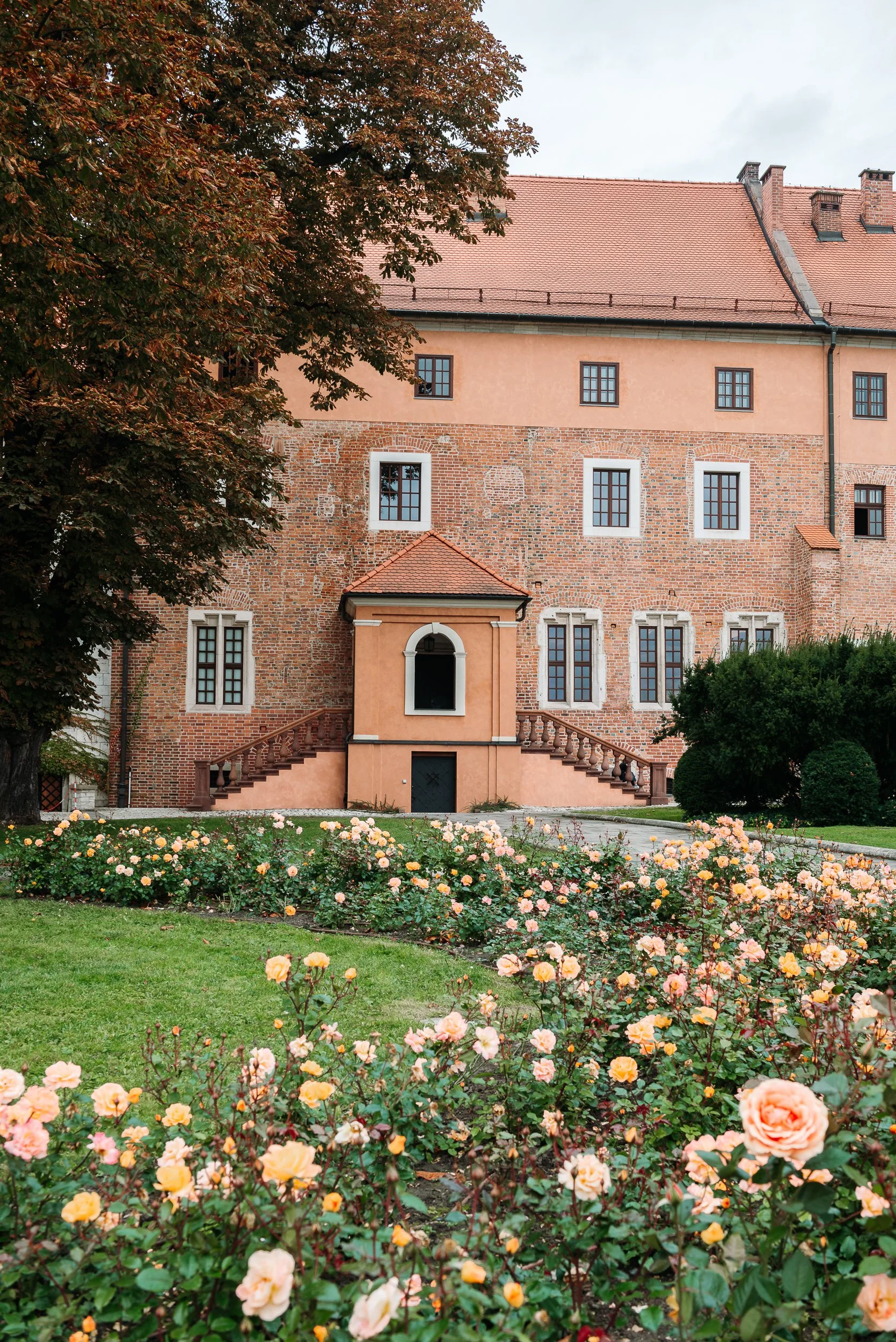 A historic brick and stucco building with stairs leading up to the entrance, surrounded by a garden of pink and peach roses, with a large tree on the left and bushes on the right.