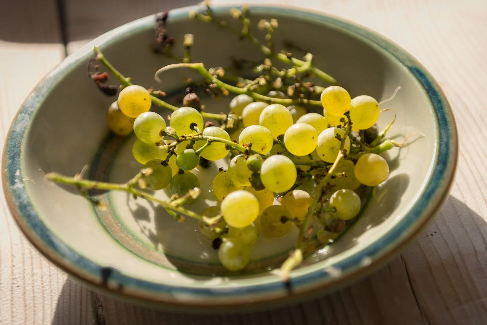 Sakelarios Villa-15.JPG