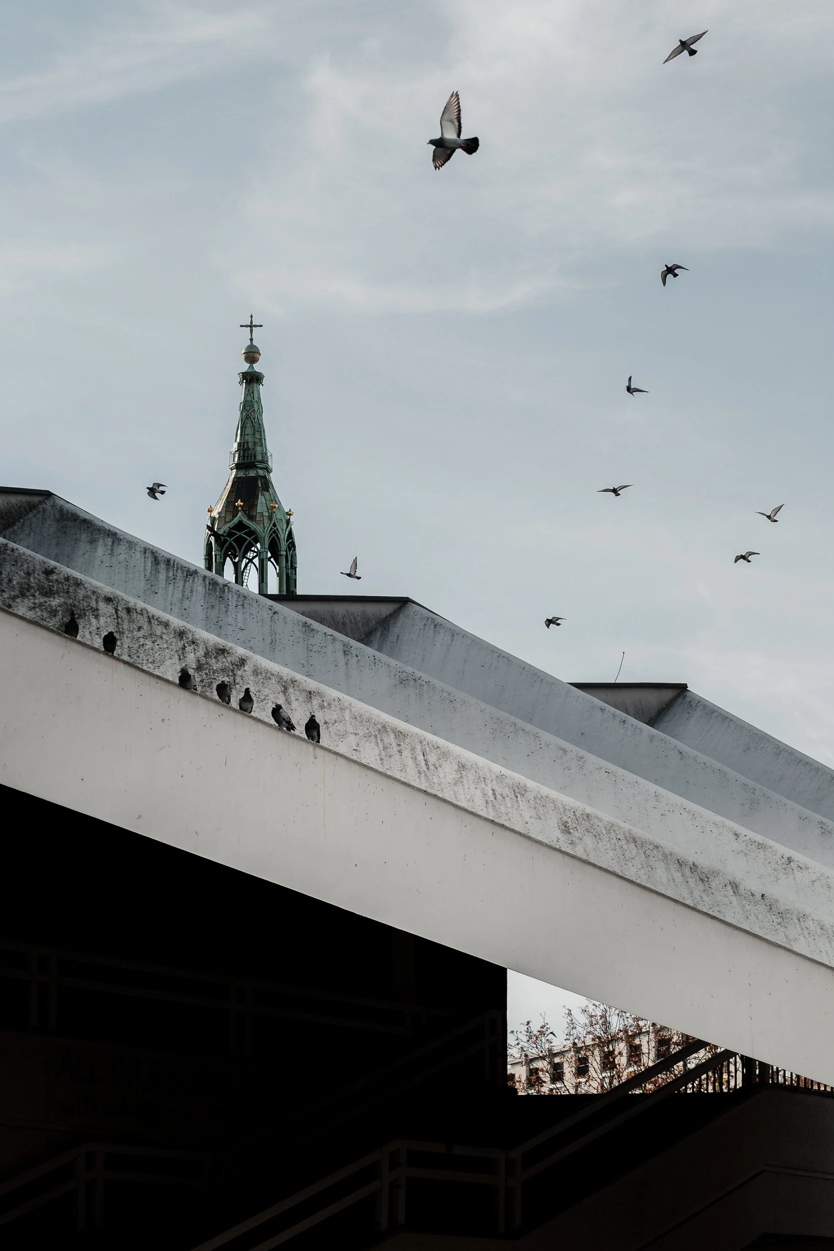 Birds flying in the sky over a building with signs of weathering, and a church steeple with a cross on top in the background.