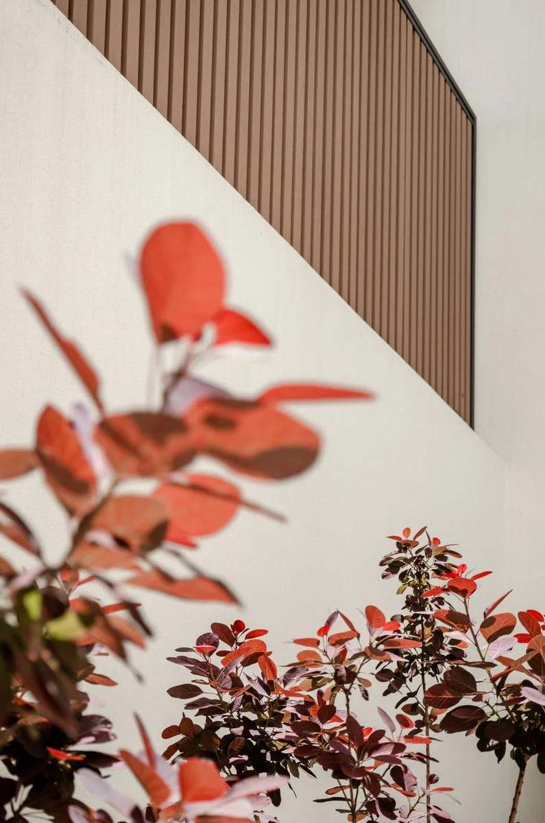 A photograph showing a white wall with a diagonal wooden-paneled ceiling and a plant with reddish leaves in the foreground. Hotels, Villas, Airbnb photography. Corfu, Greece.