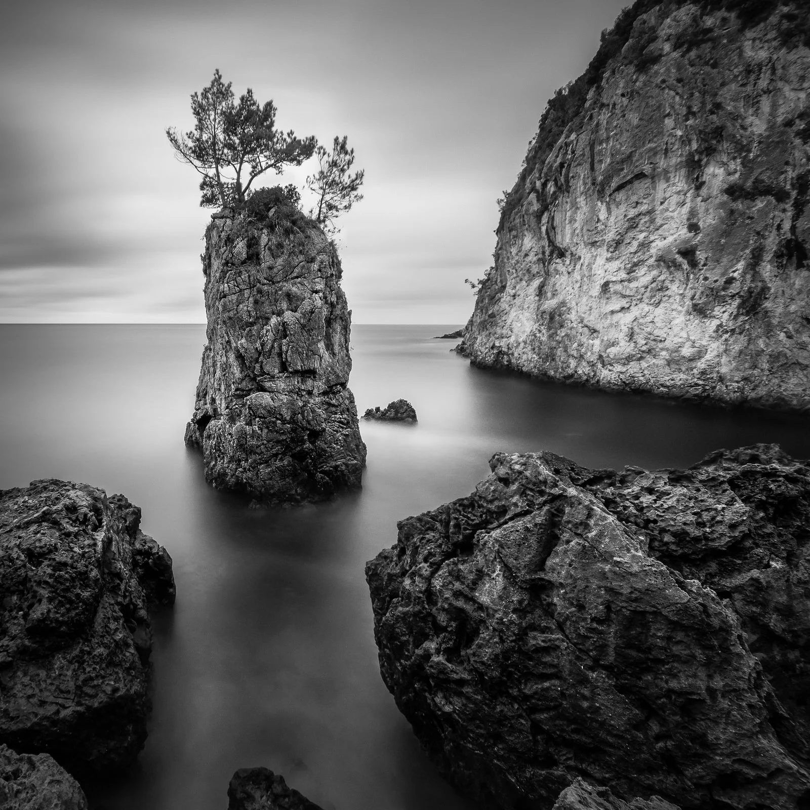 A black and white photo of a coastal landscape featuring a tall rock formation with a small tree growing on top, surrounded by water and large rocks, with a cliff on the right side.