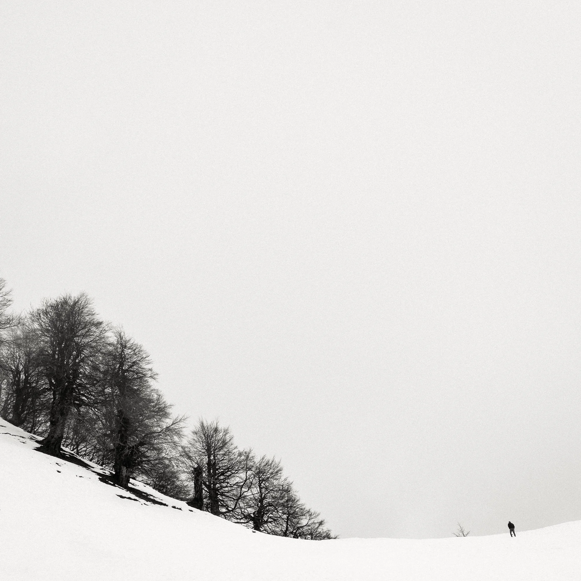 Snow-covered landscape with a few bare trees on a hillside and a person walking in the distance under a cloudy sky.