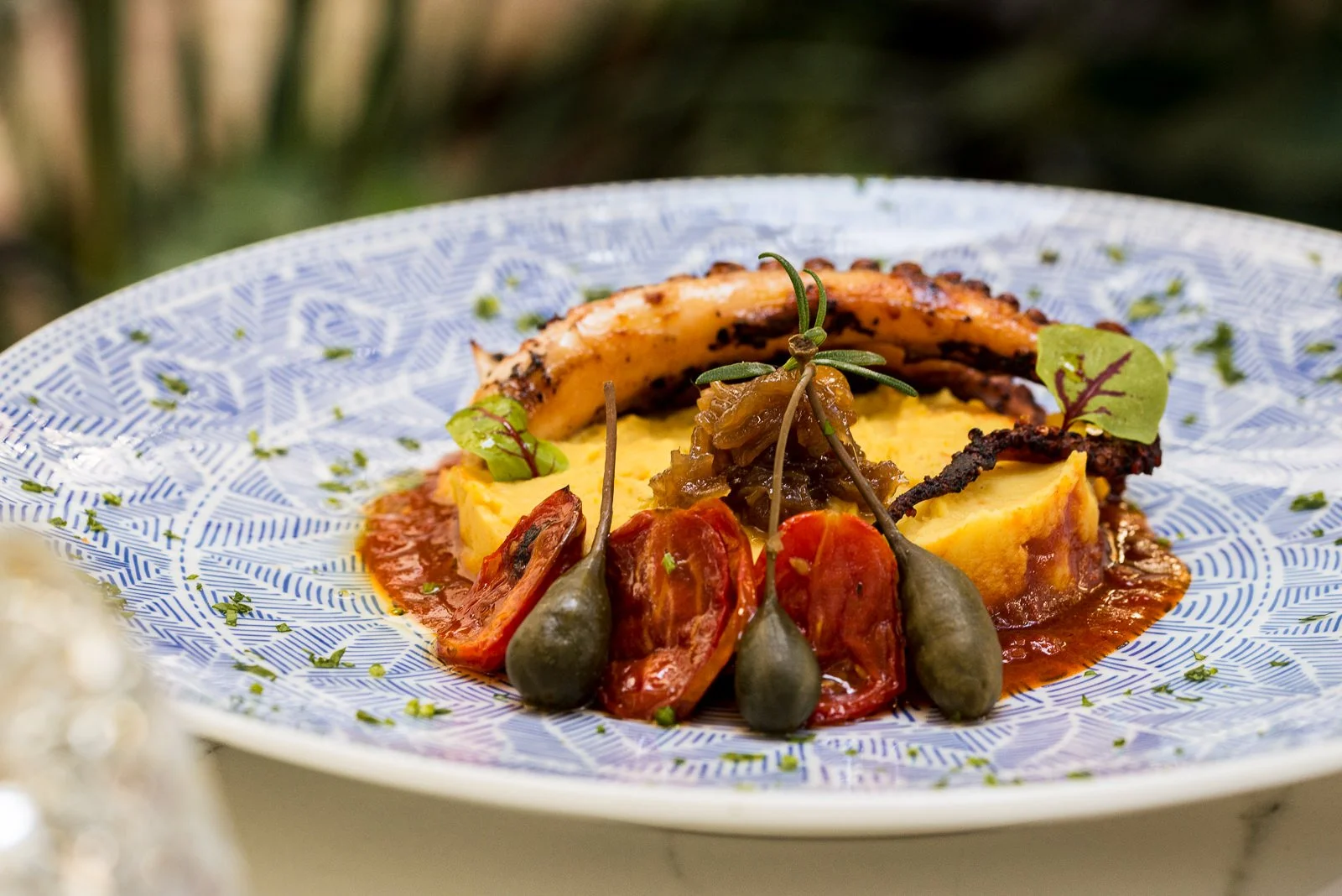A plated gourmet dish with grilled octopus, cherry tomatoes, caperberries, mashed potatoes, and garnishes on a patterned blue and white plate. Hotels, Villas, Airbnb photography. Corfu, Greece.