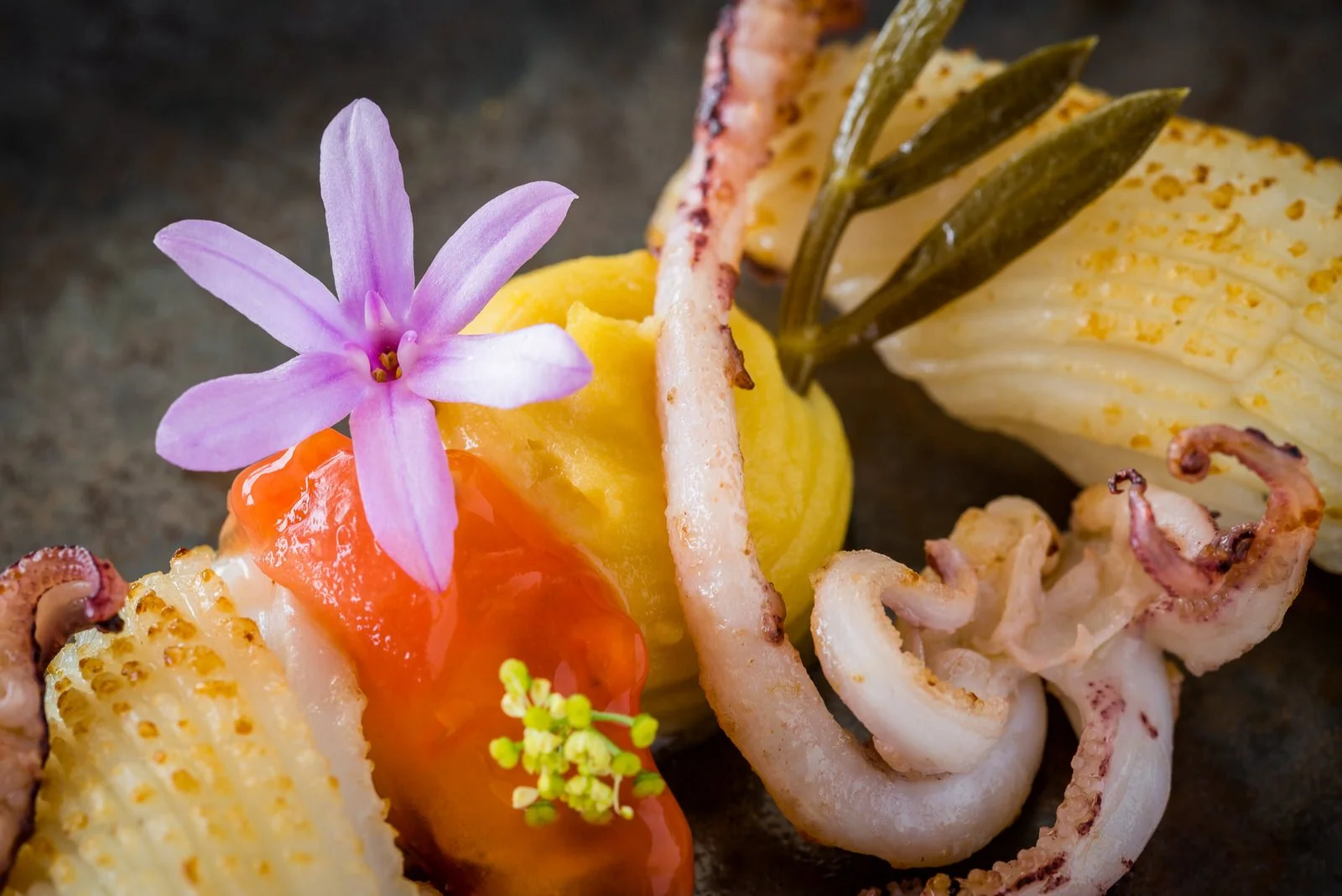 Gourmet seafood dish with grilled squid, yellow mashed potatoes, a pink edible flower, and garnishes on a dark plate. Hotels, Villas, Airbnb photography. Corfu, Greece.