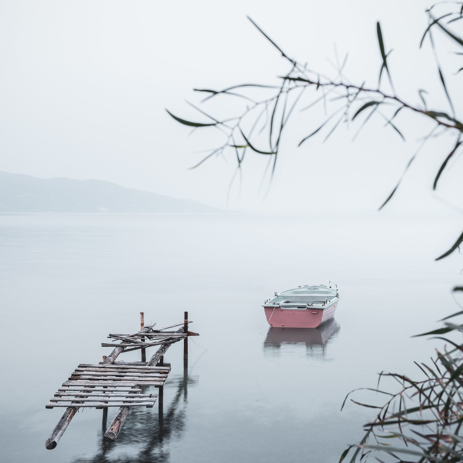 A small boat floating in calm, misty water near a wooden dock, with overhanging tree branches in the foreground.