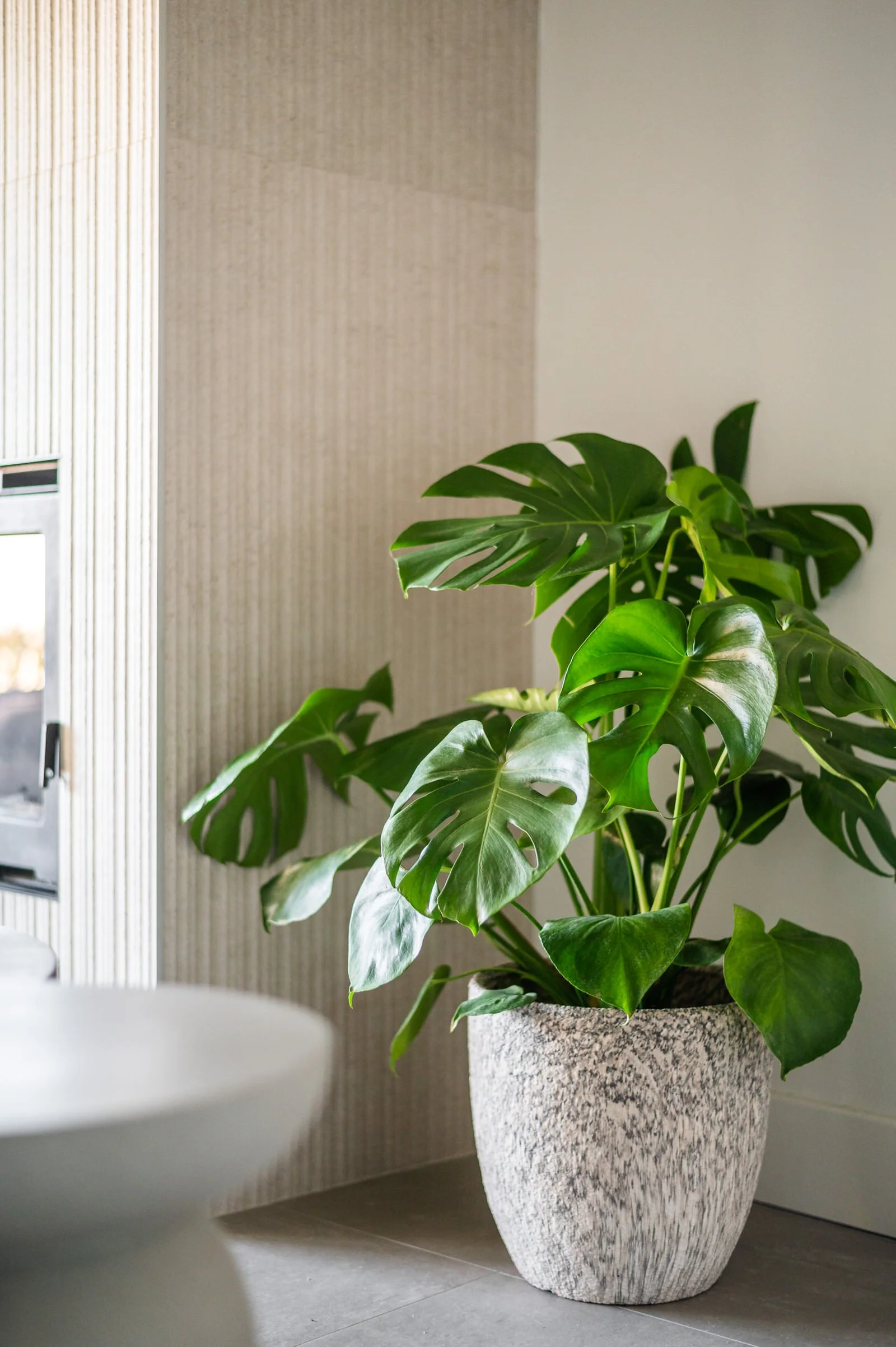 Ermioni's Cottage-12.JPG