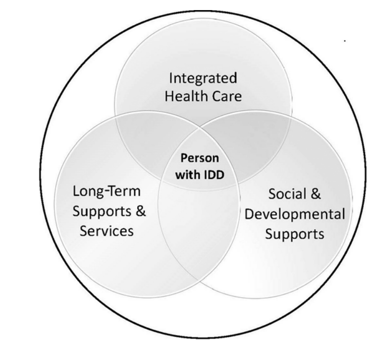 Healthcare and IDD