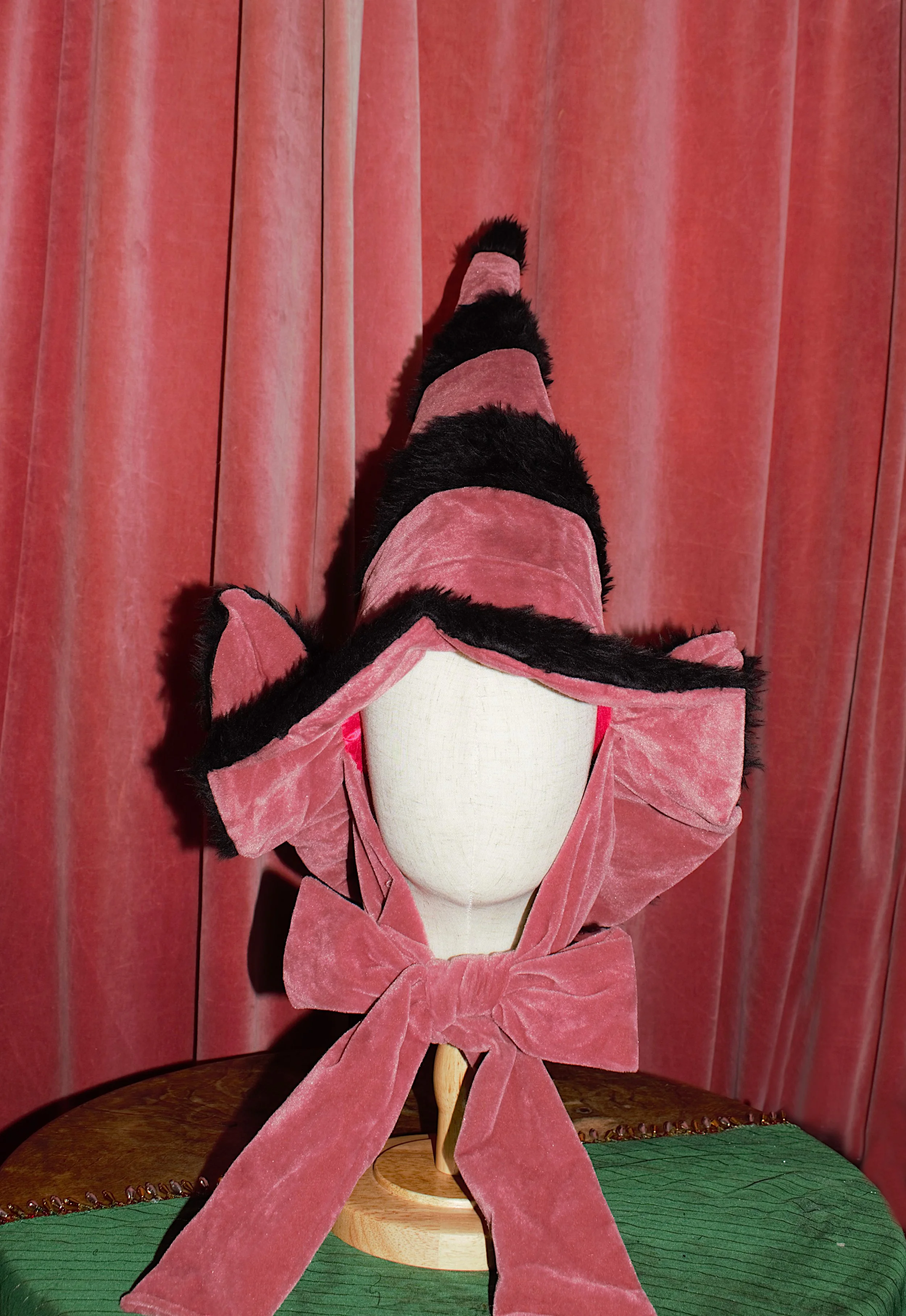 cat in the hat 2 .jpeg