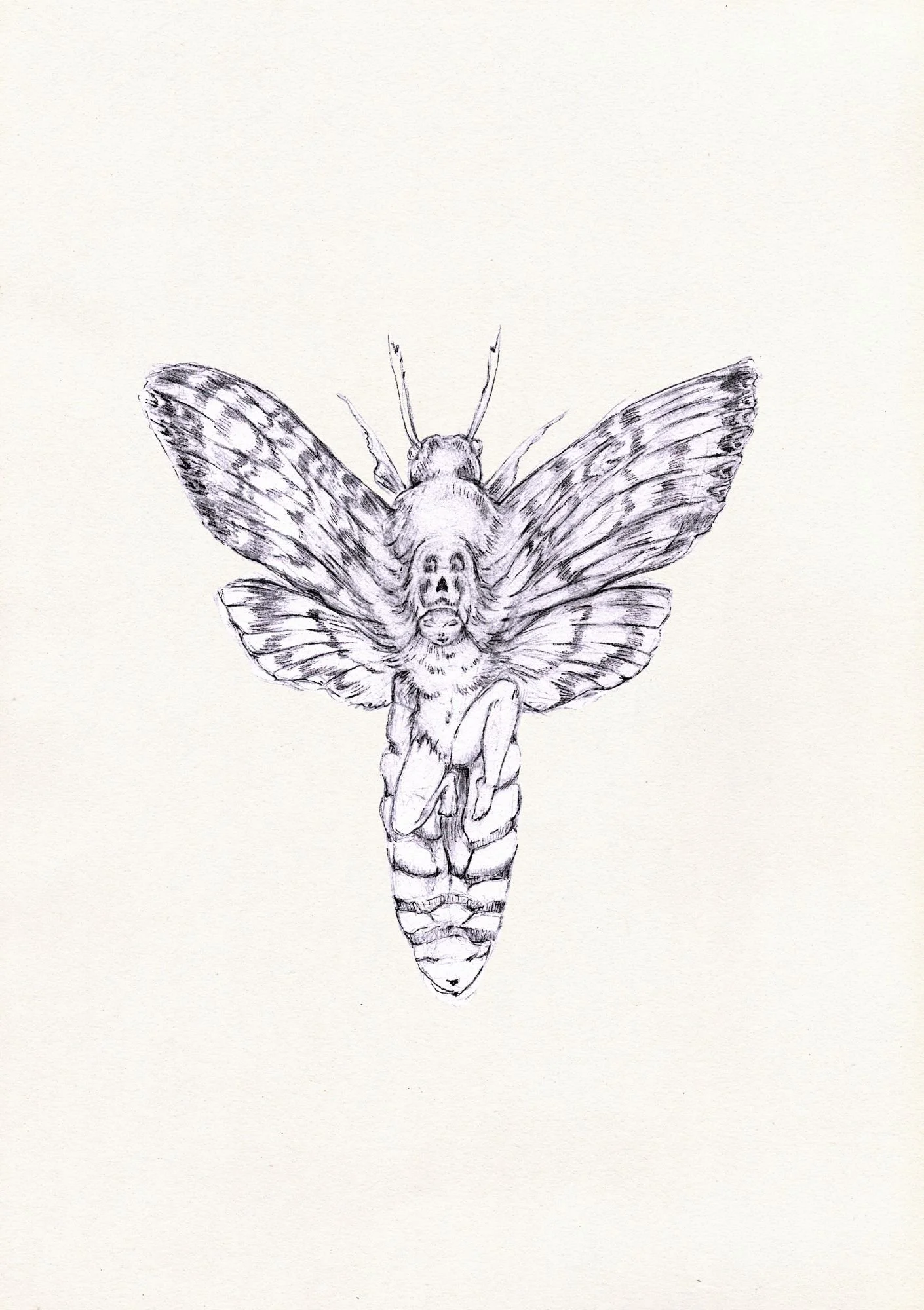 Moth Dancer.jpeg