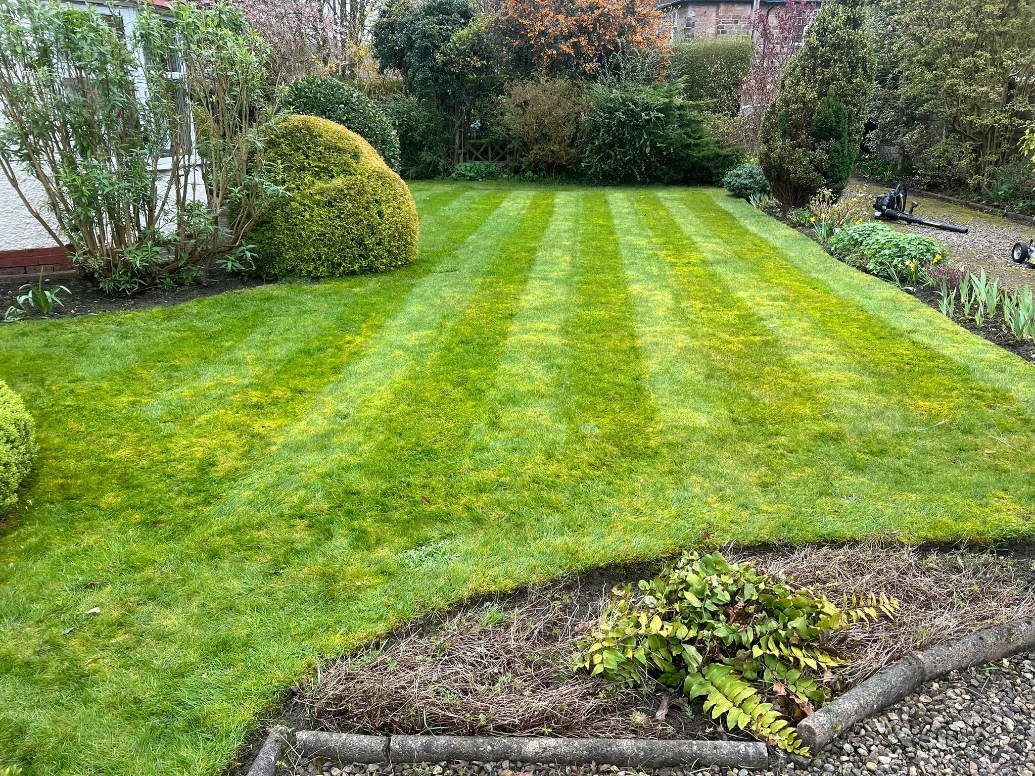 WhatsApp Image 2026-03-06 at 6.23.26 PM (5).jpeg