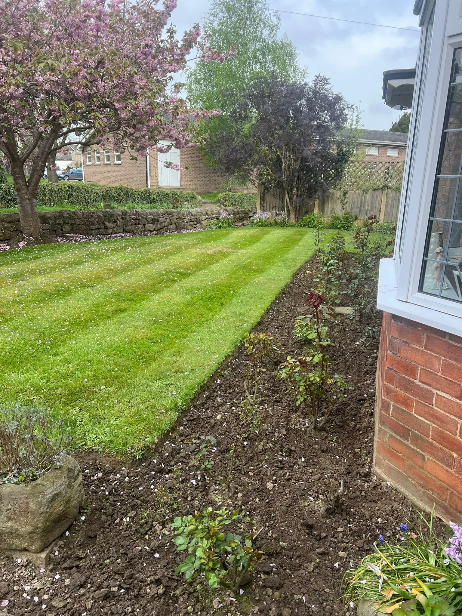 WhatsApp Image 2026-03-06 at 6.23.25 PM (2).jpeg