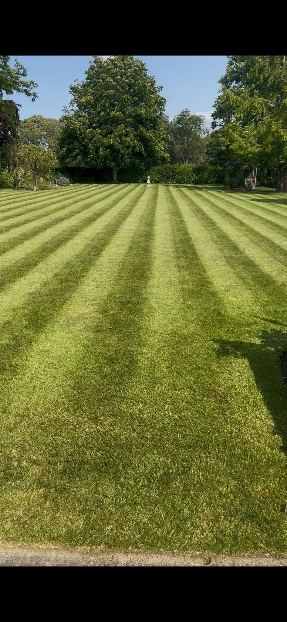 WhatsApp Image 2026-03-06 at 6.23.20 PM (1).jpeg