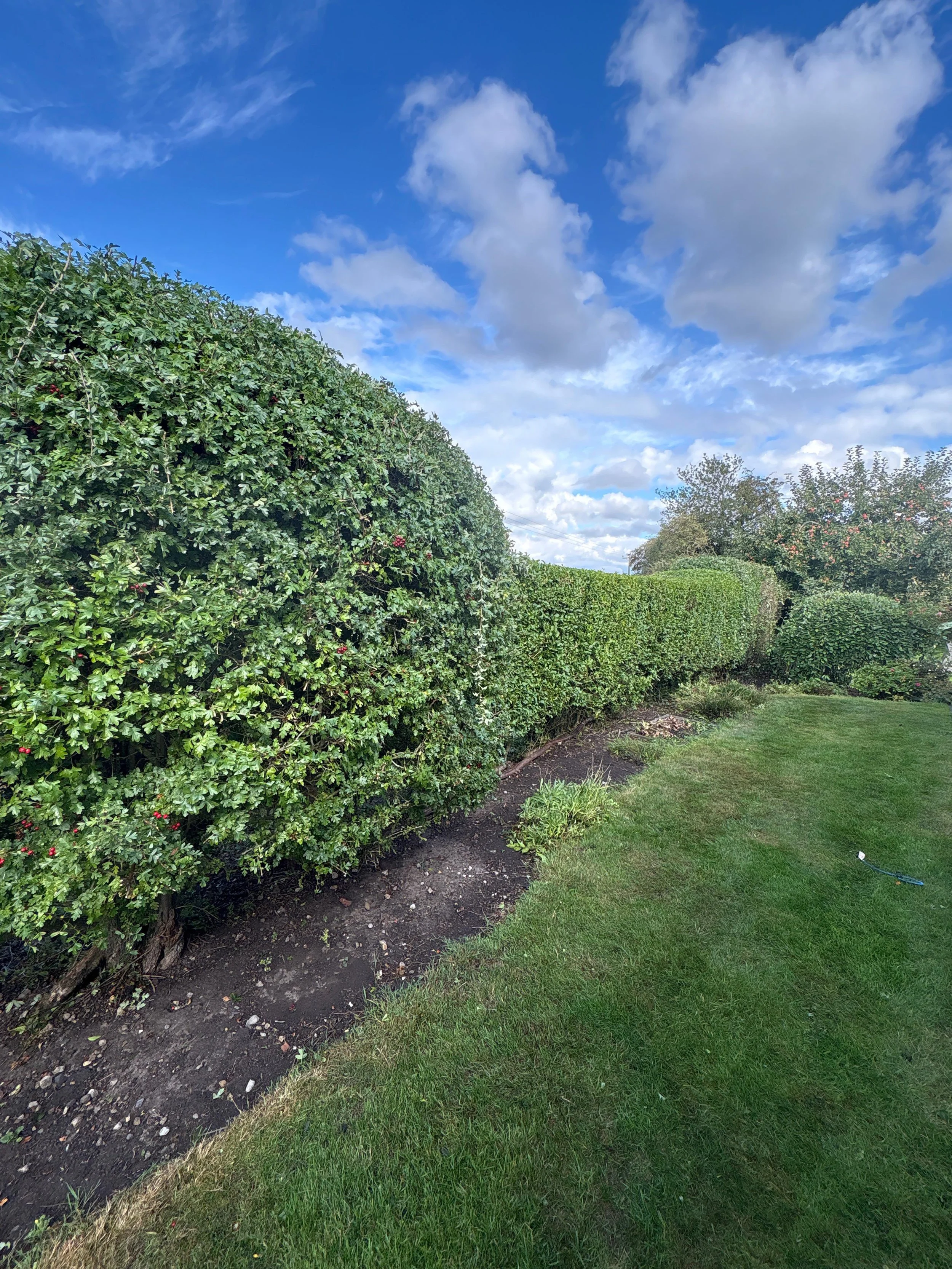 WhatsApp Image 2025-09-11 at 3.37.01 PM.jpeg