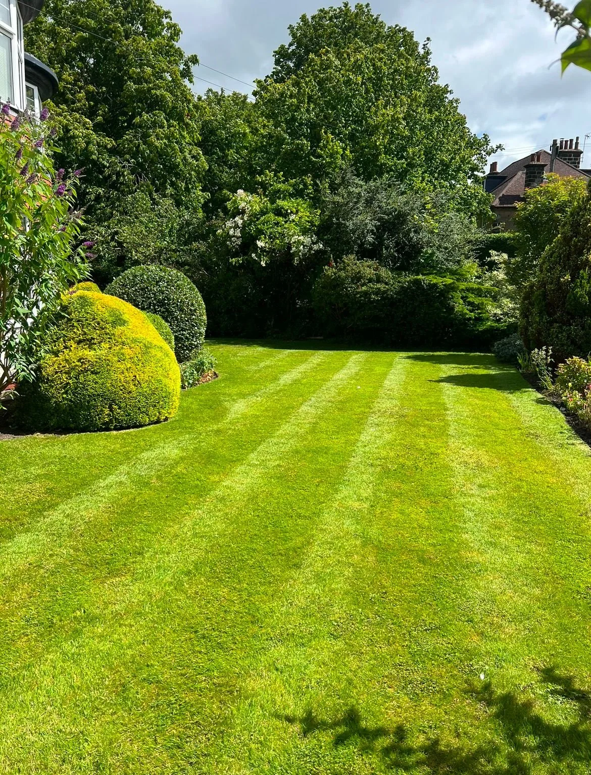 WhatsApp Image 2026-03-06 at 6.23.23 PM (4).jpeg