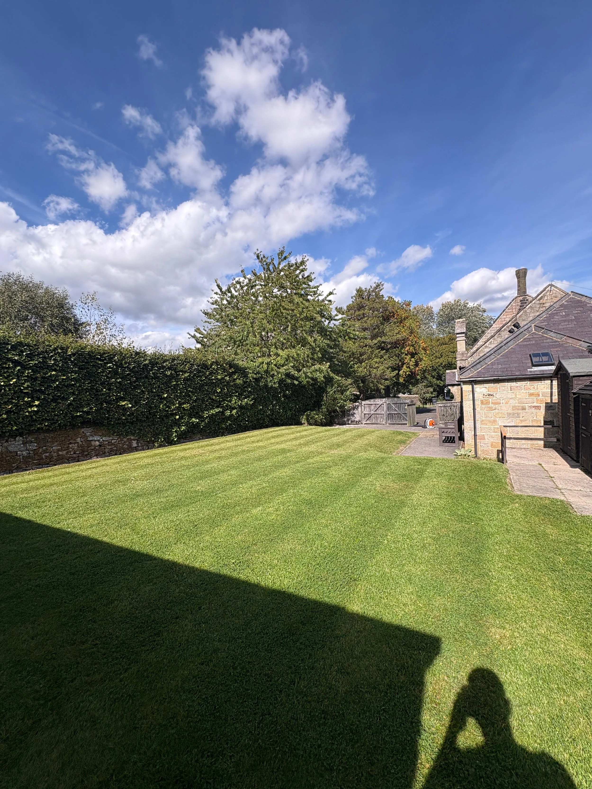 WhatsApp Image 2025-09-11 at 4.00.18 PM.jpeg