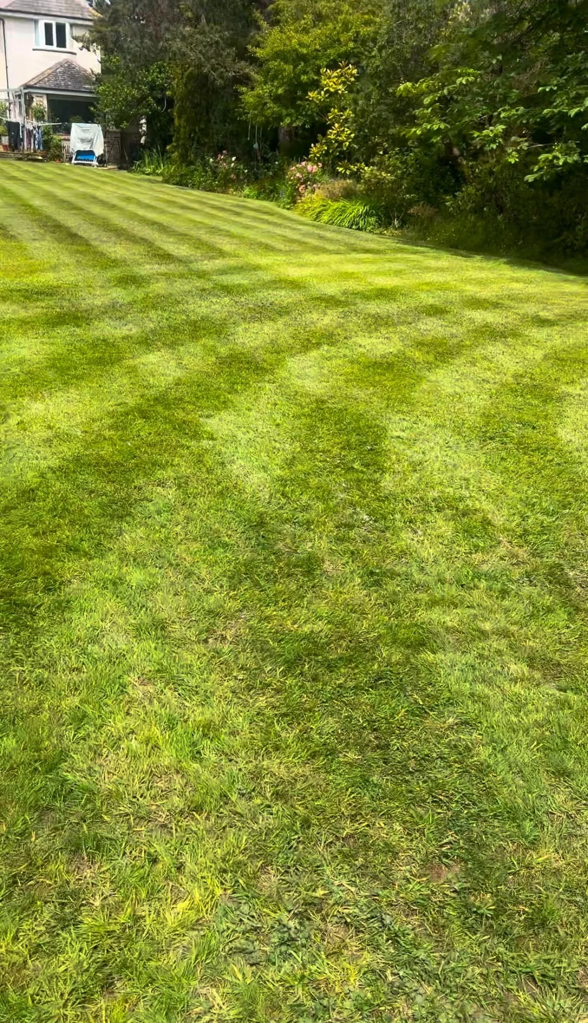 WhatsApp Image 2026-03-06 at 6.23.23 PM (3).jpeg