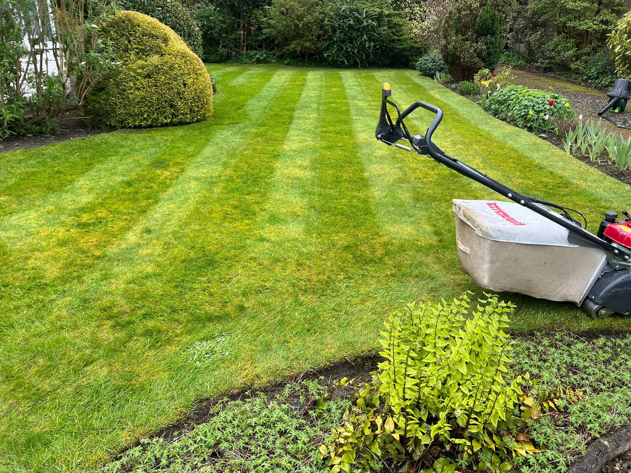 WhatsApp Image 2026-03-06 at 6.23.25 PM (5).jpeg