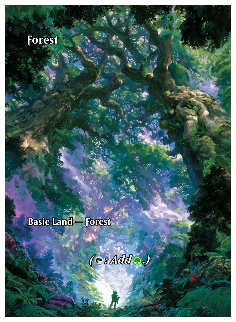 032 - Forest.png