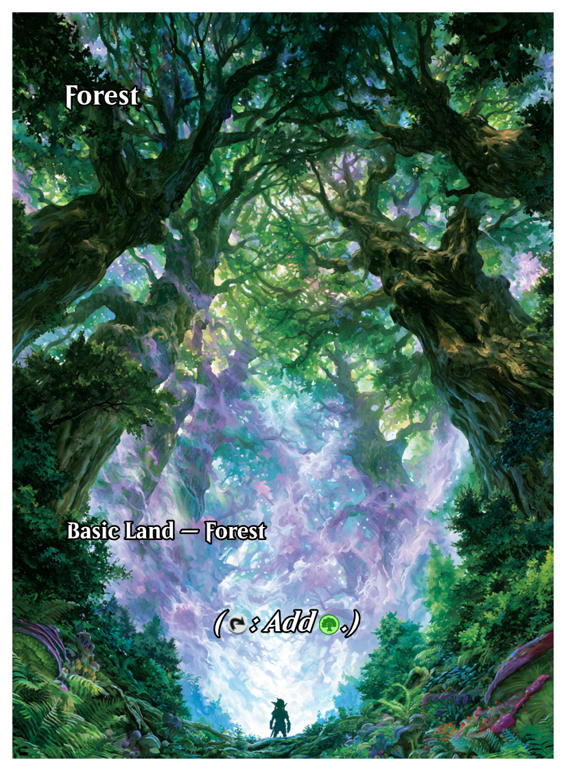 029 - Forest.png