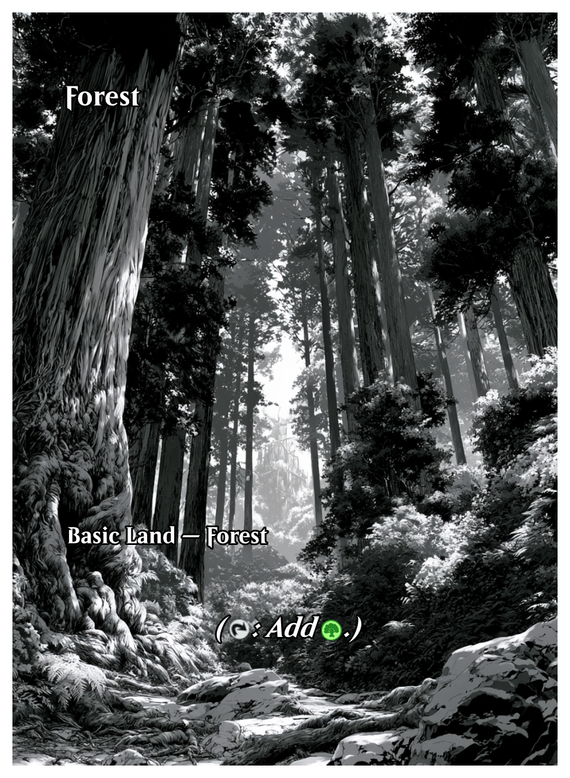 033 - Forest.png