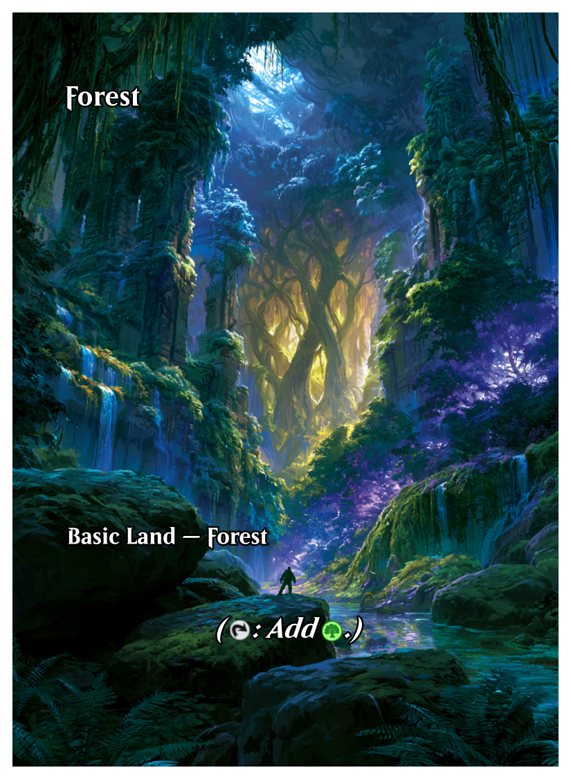 030 - Forest.png