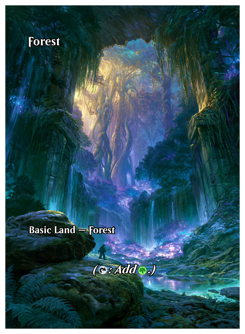 024 - Forest.png