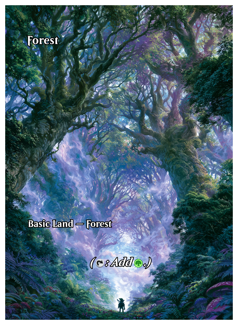 026 - Forest.png
