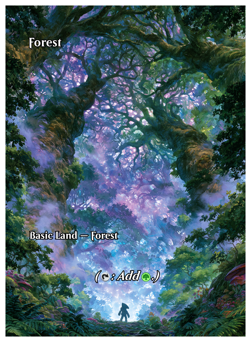 037 - Forest.png