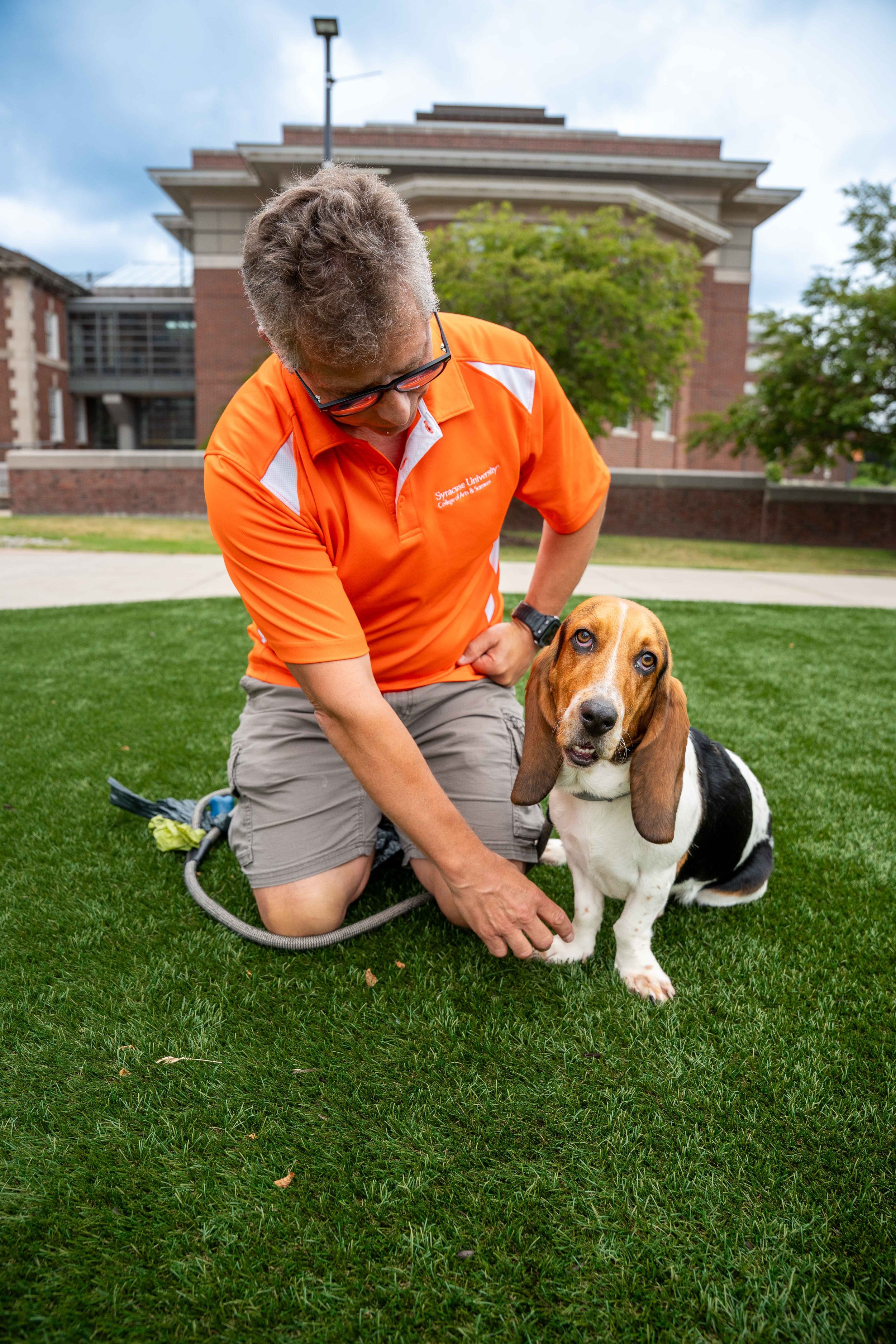 Daphne the Basset-08049-4.jpg