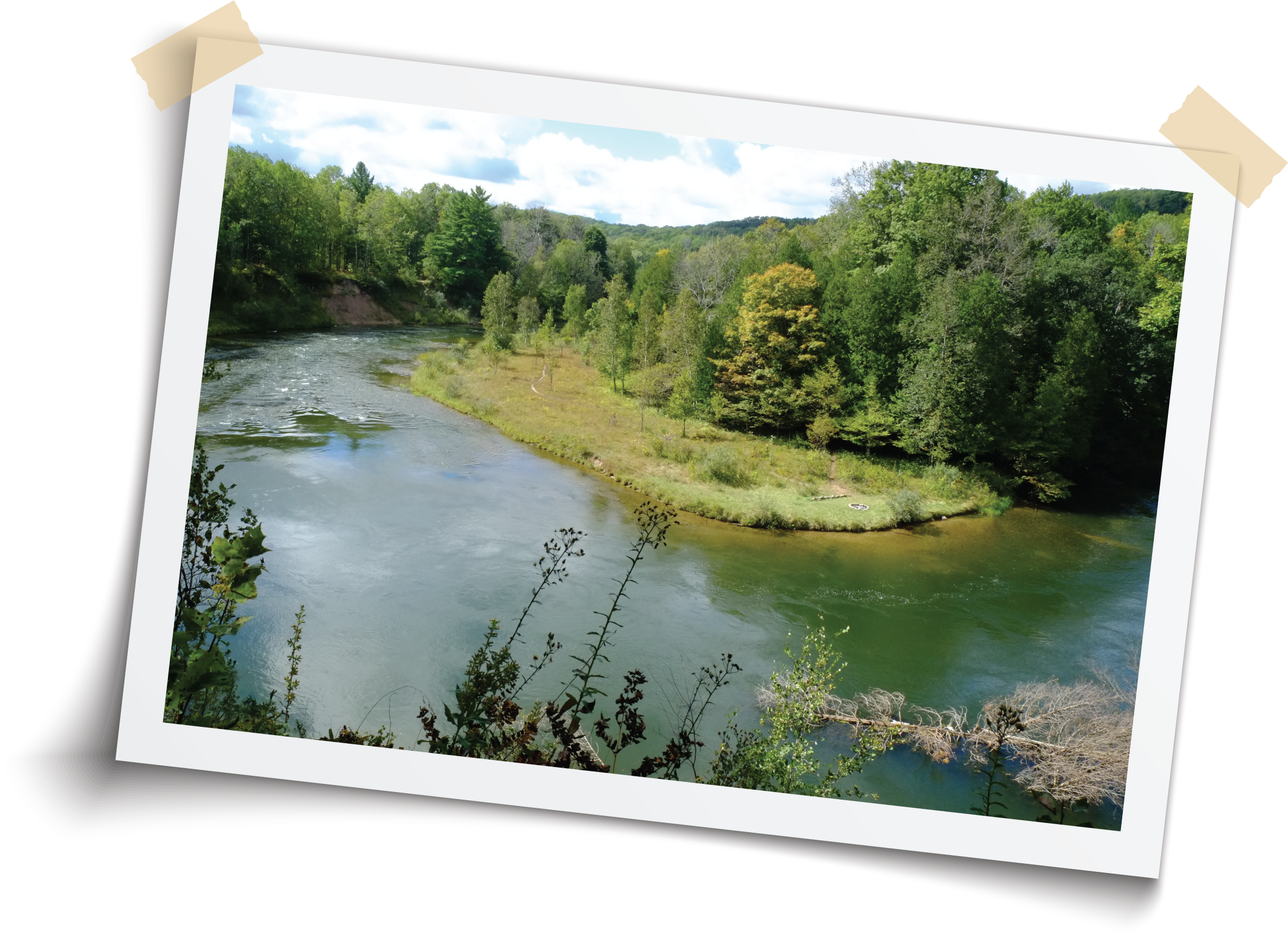The Manistee River flows through a lush, green landscape with trees and hills under a partly cloudy sky.