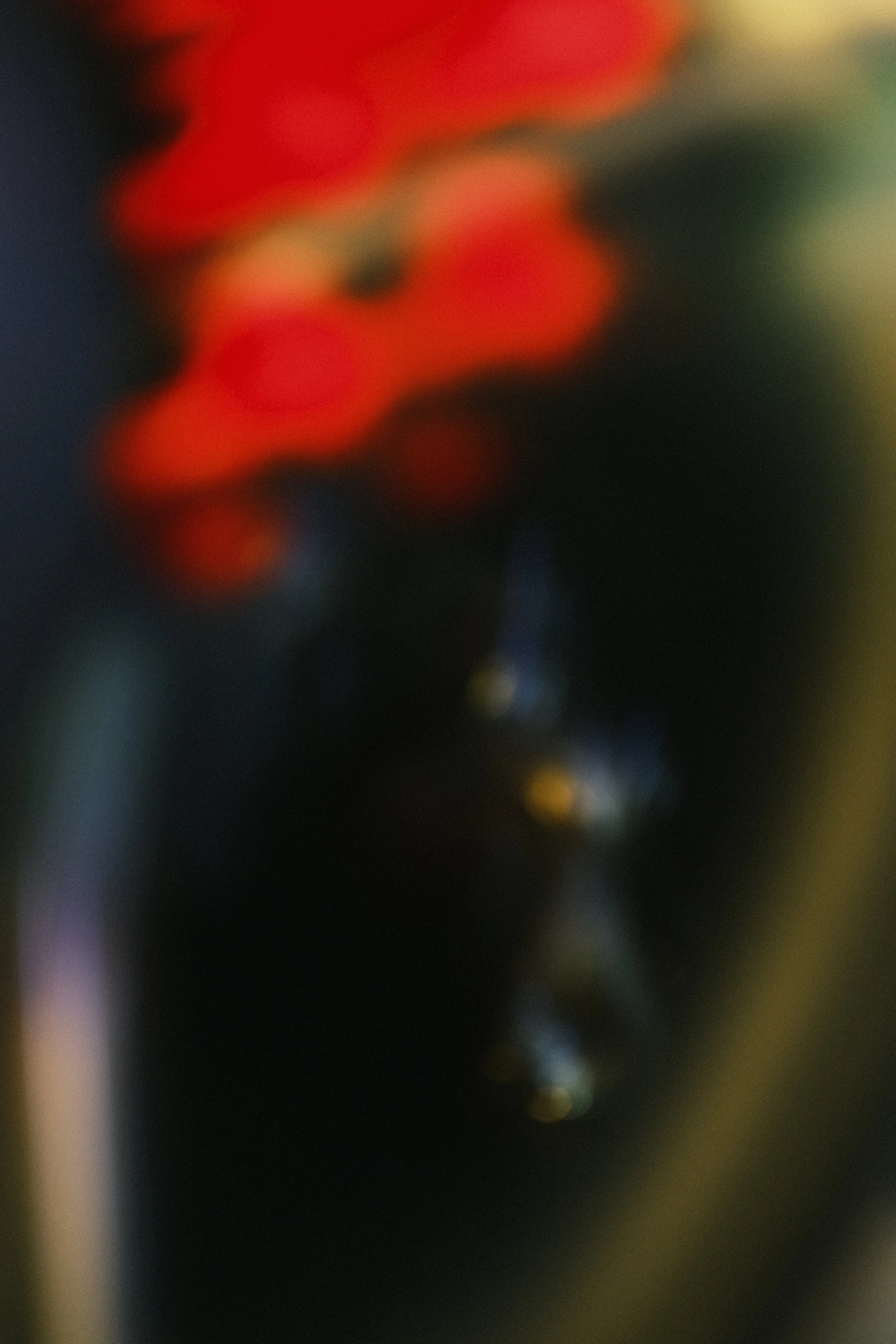 DSCF6540.JPG