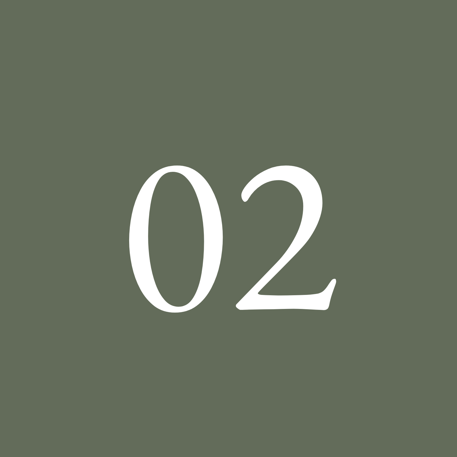 Number 02 on a green background.