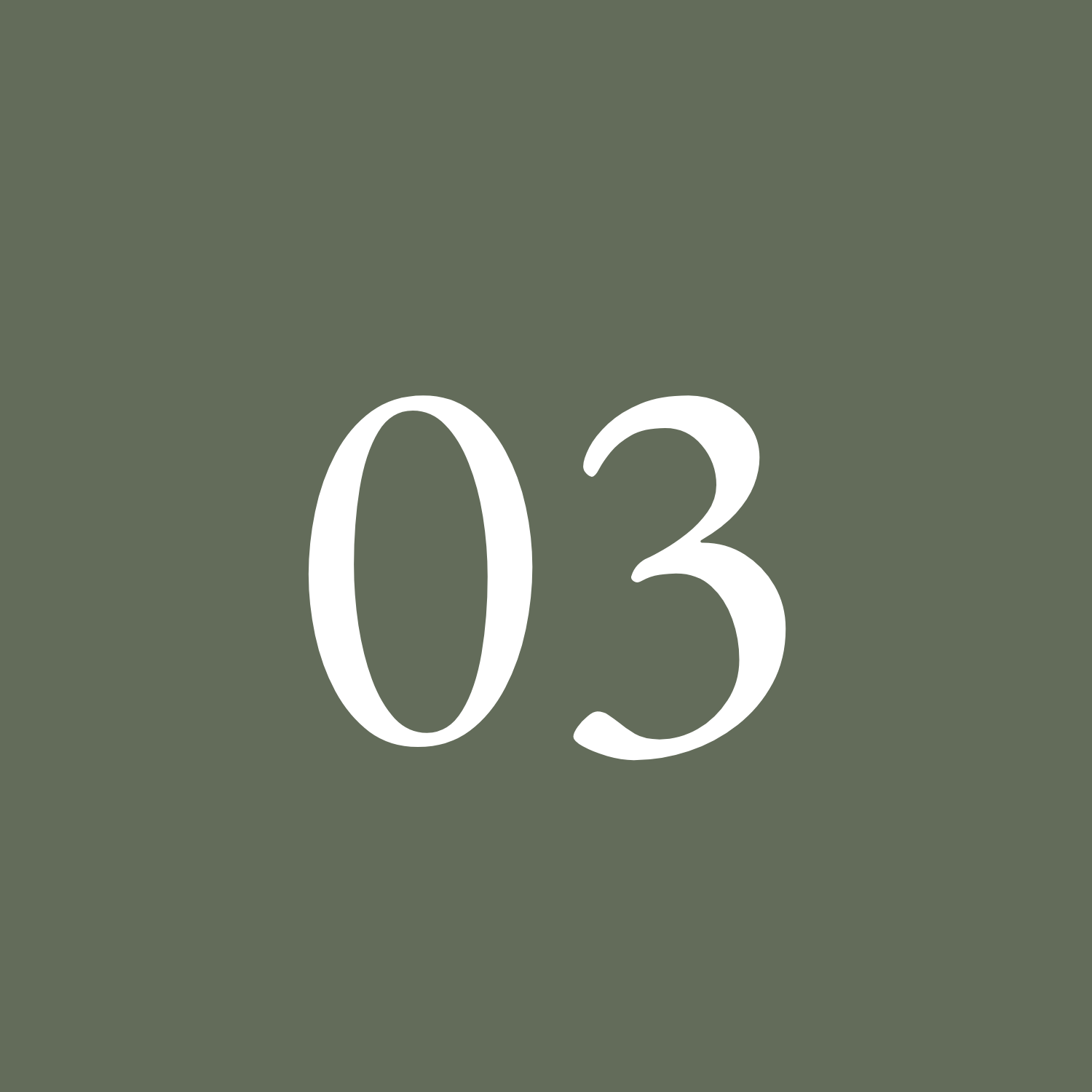 Green background with large white number 03 in the center.