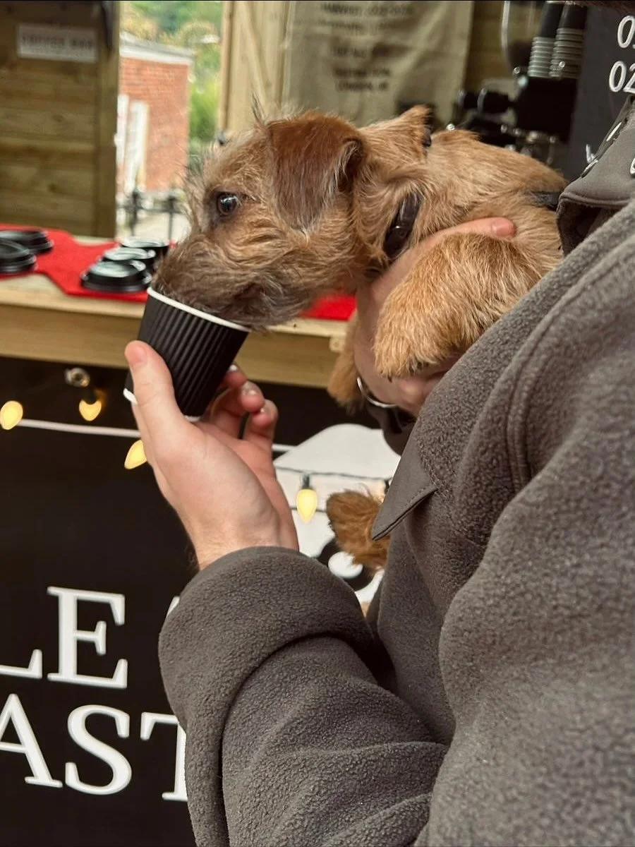 Pup cups down on the Pantiles 🐾