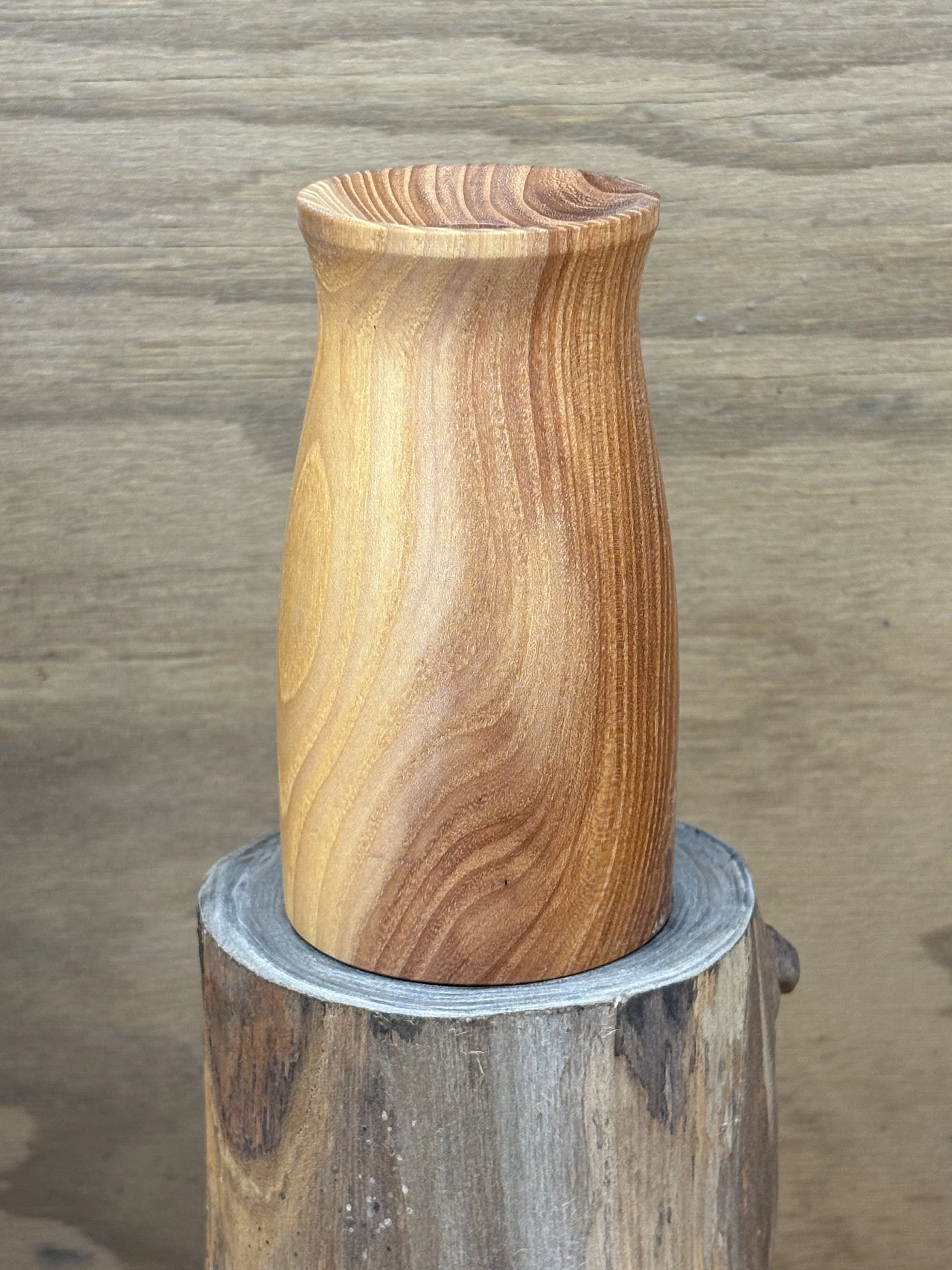 Swede Creek Chinese Elm Twig Pot 2616